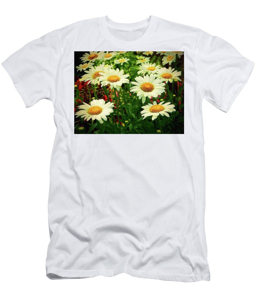 Fine Art Prints T-Shirt featuring the photograph Field of Daisies by Dave Bosse