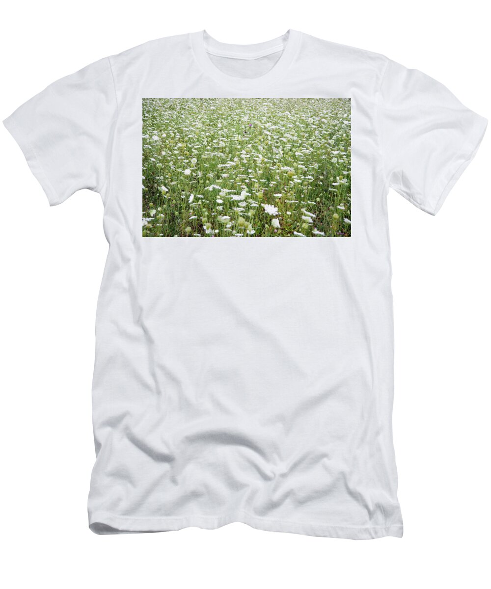 Lise Winne T-Shirt featuring the photograph Field of Queen Annes Lace by Lise Winne
