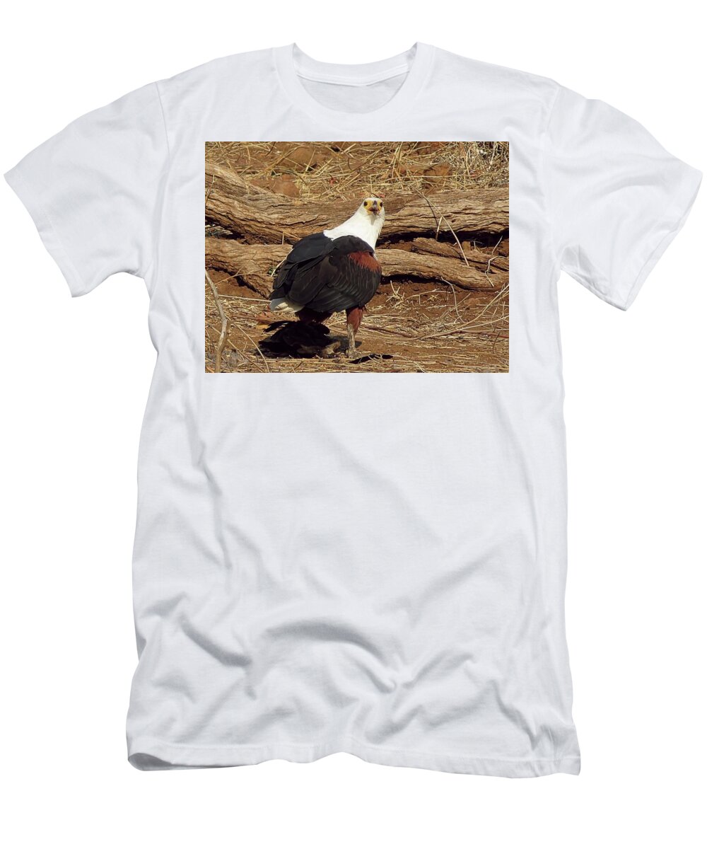 Fish Eagle T-Shirt featuring the photograph Fish Eagle by Jennifer Wheatley Wolf