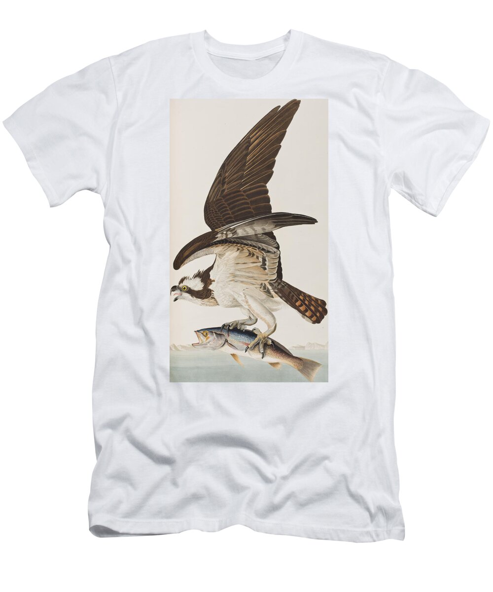 Fish Hawk or Osprey T-Shirt by John James Audubon - Pixels