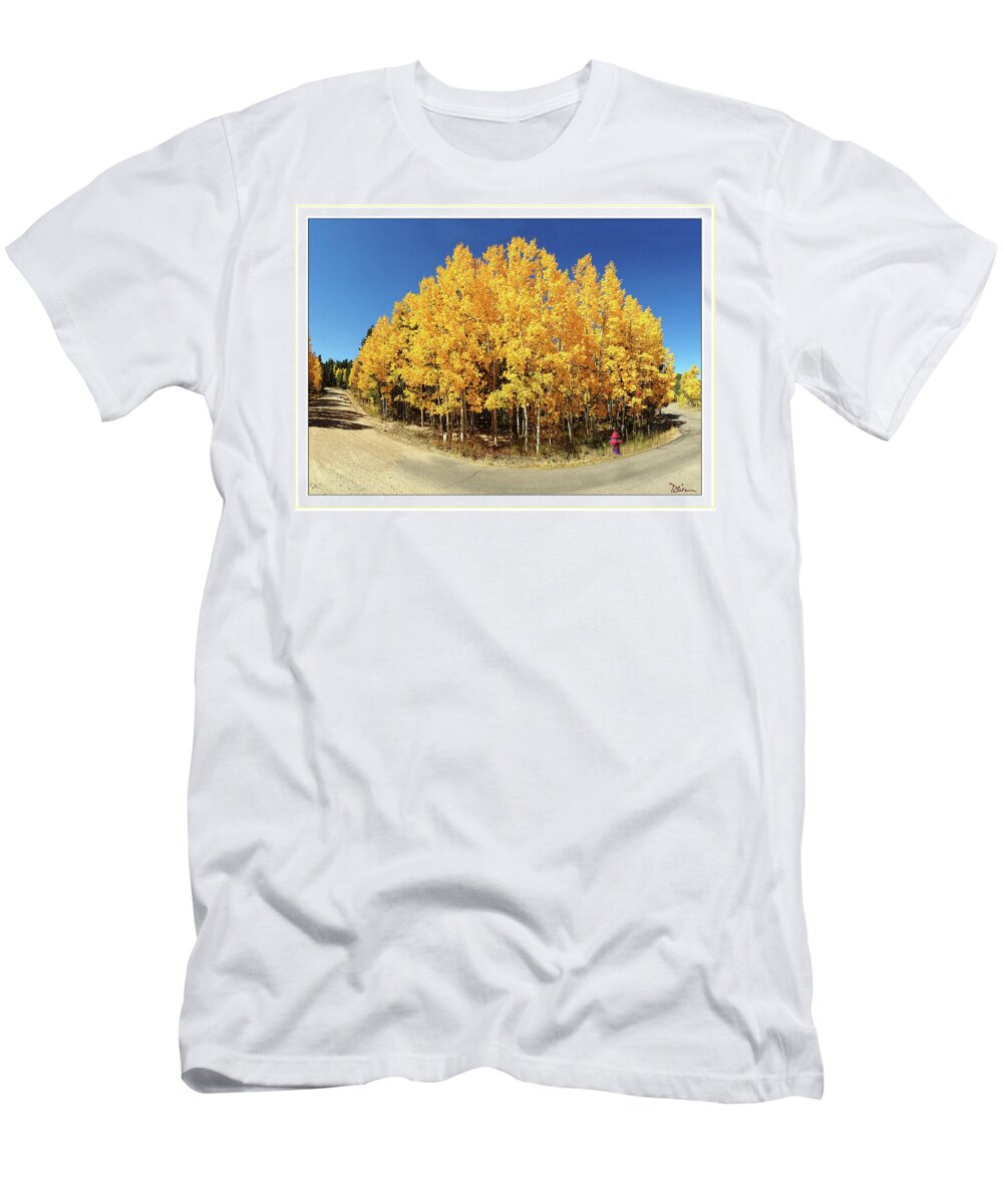Colorado T-Shirt featuring the photograph Fisheye Aspens by Peggy Dietz