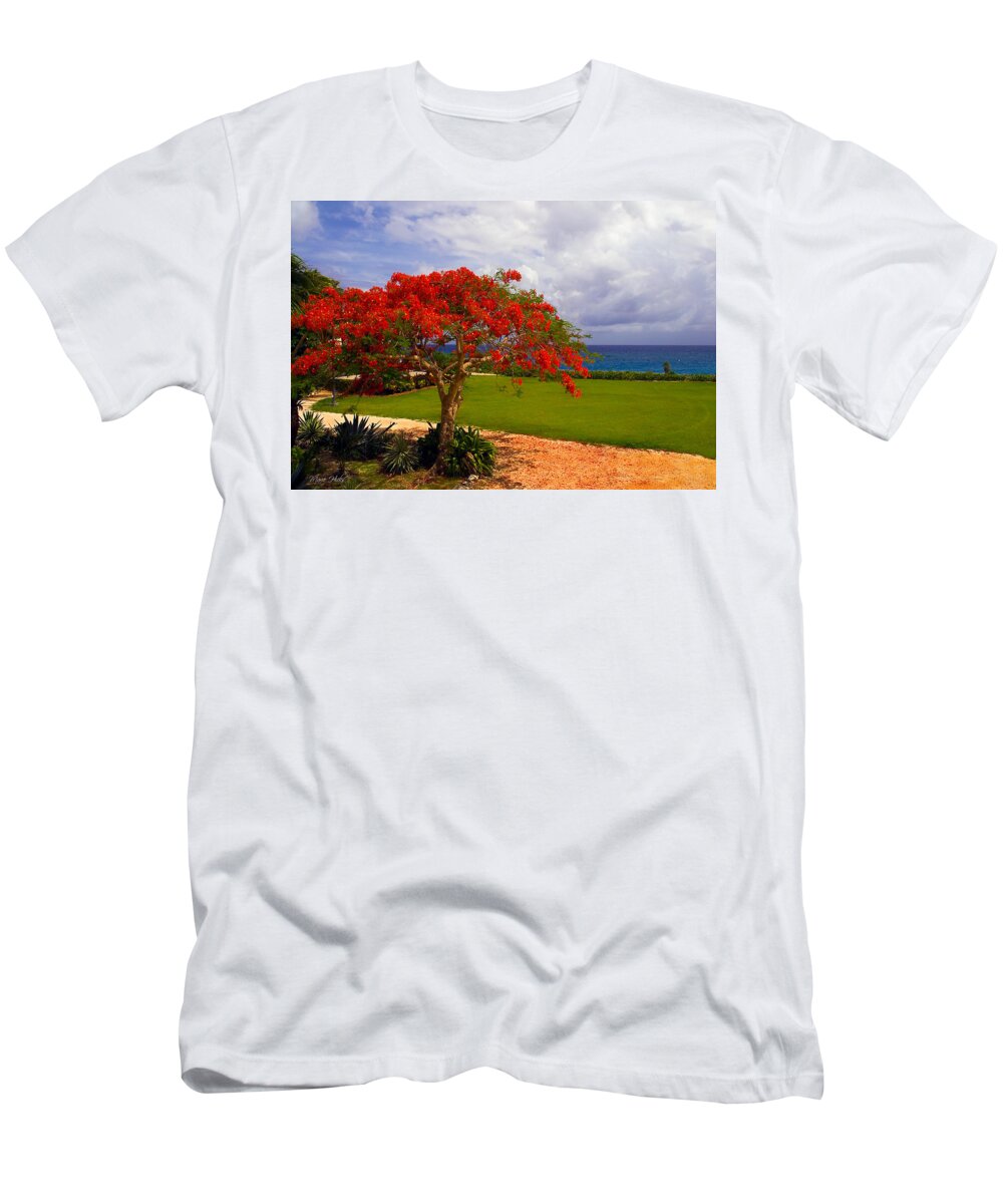 Flamboyant Tree T-Shirt featuring the photograph Flamboyant Tree in Grand Cayman by Marie Hicks