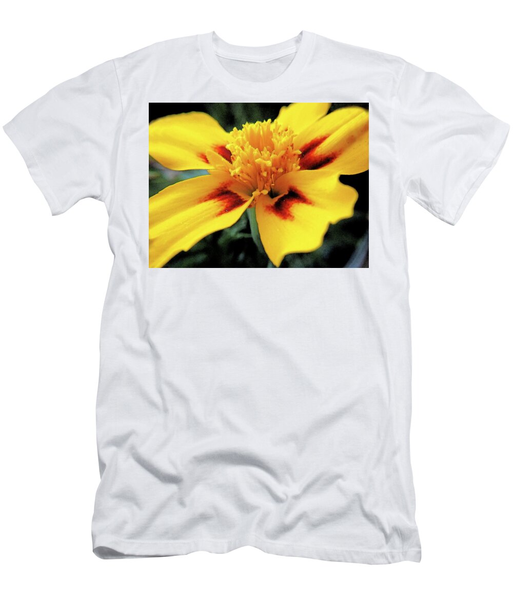 Flower T-Shirt featuring the photograph Flower - Yellow Marigold petals by Arthur Babiarz