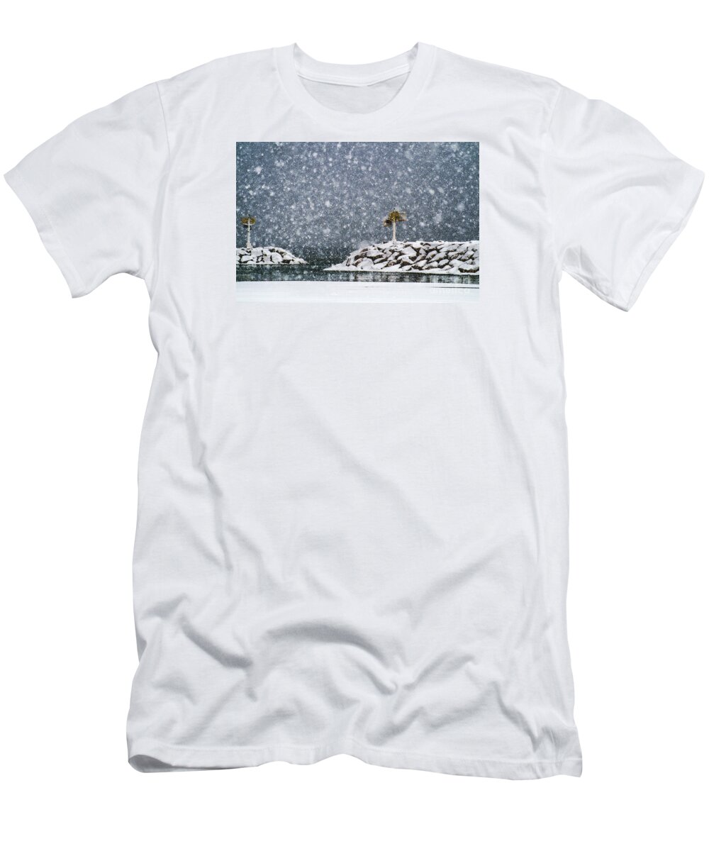 Winter T-Shirt featuring the photograph Flurried by Terry Doyle