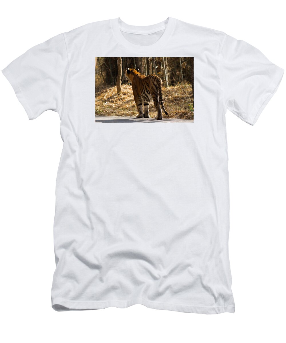 Tiger T-Shirt featuring the photograph Focused by Ramabhadran Thirupattur