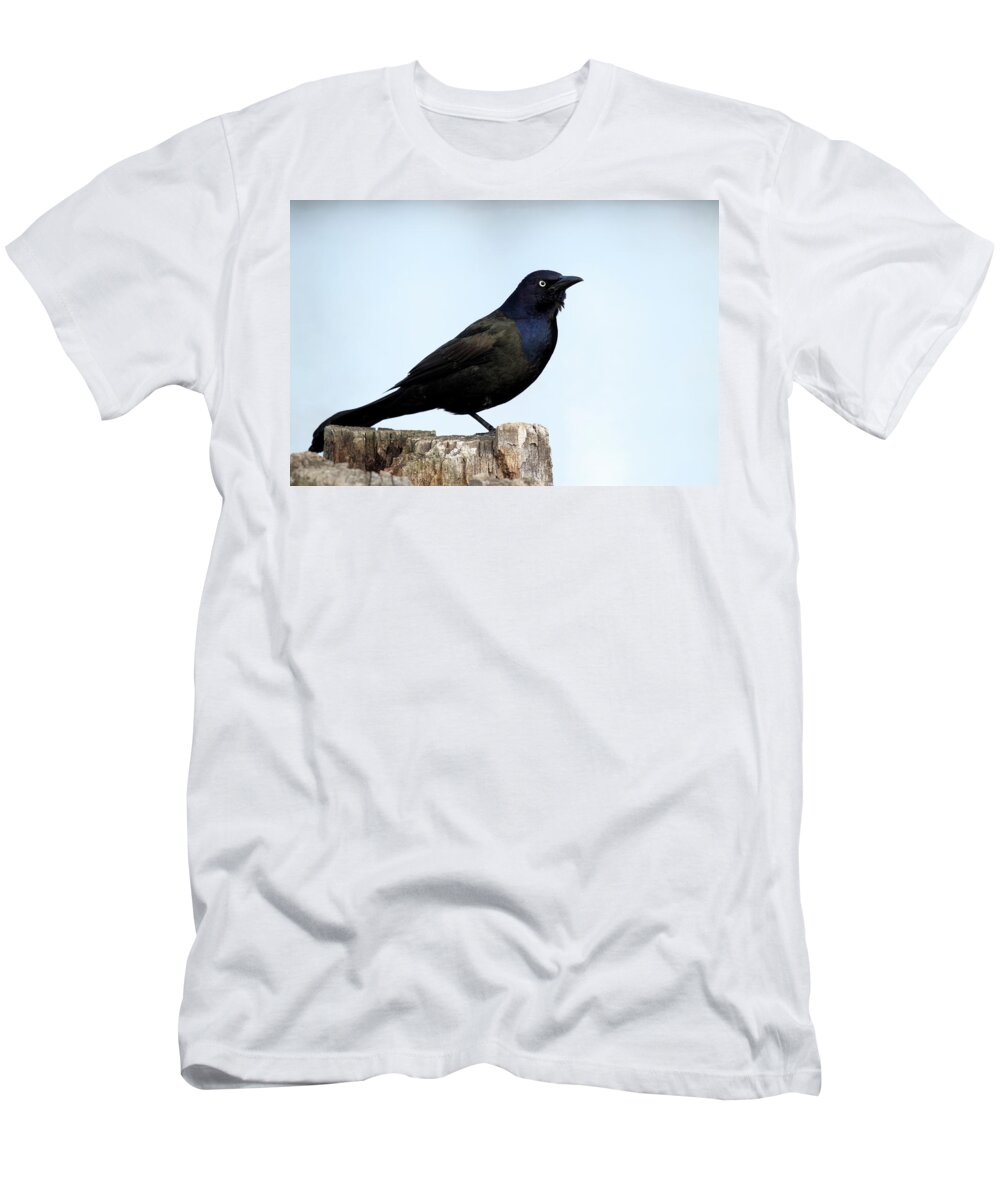 Jacobson T-Shirt featuring the photograph Focused by Shoeless Wonder