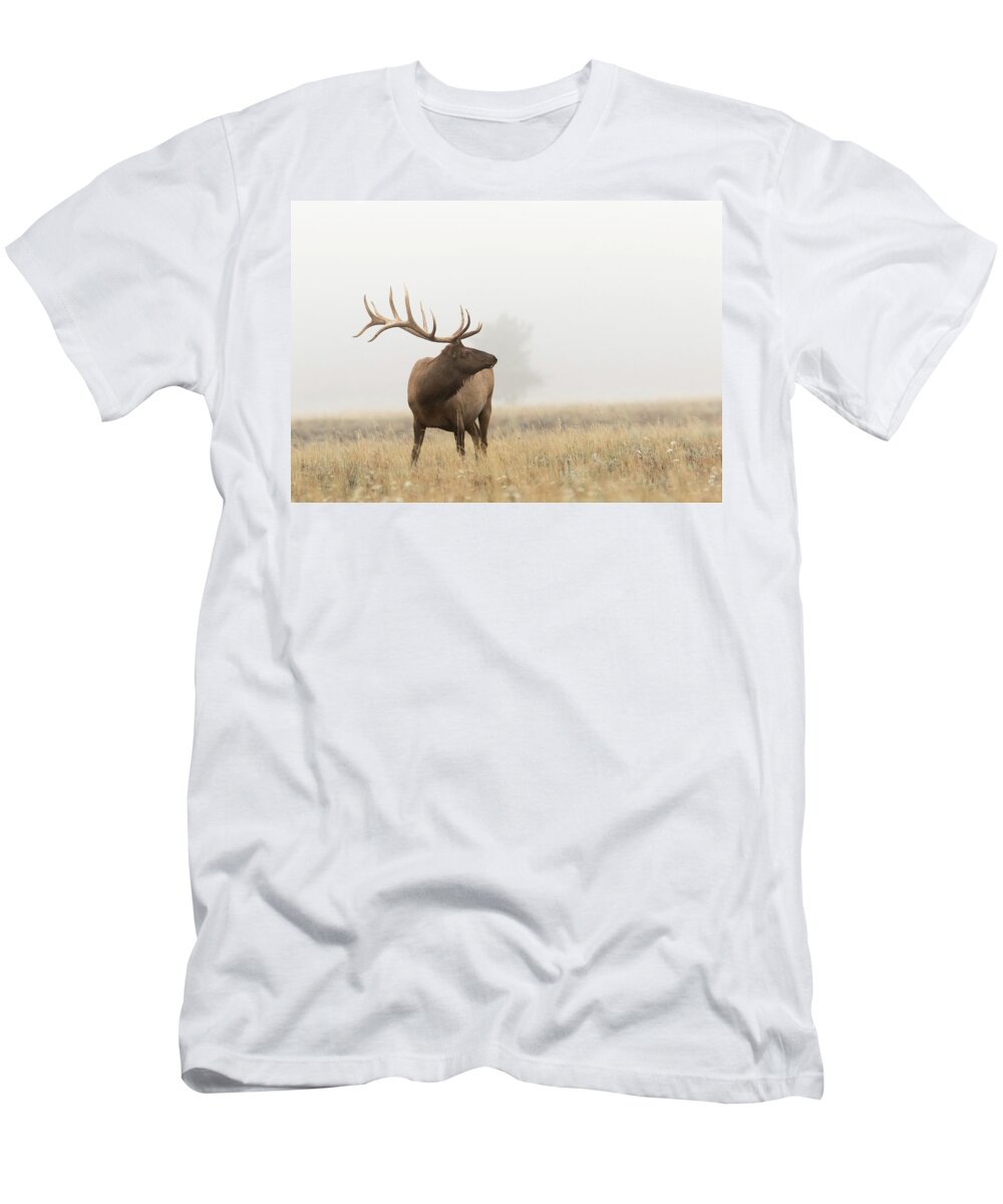 Animals T-Shirt featuring the photograph Foggy Morning by Ronnie And Frances Howard