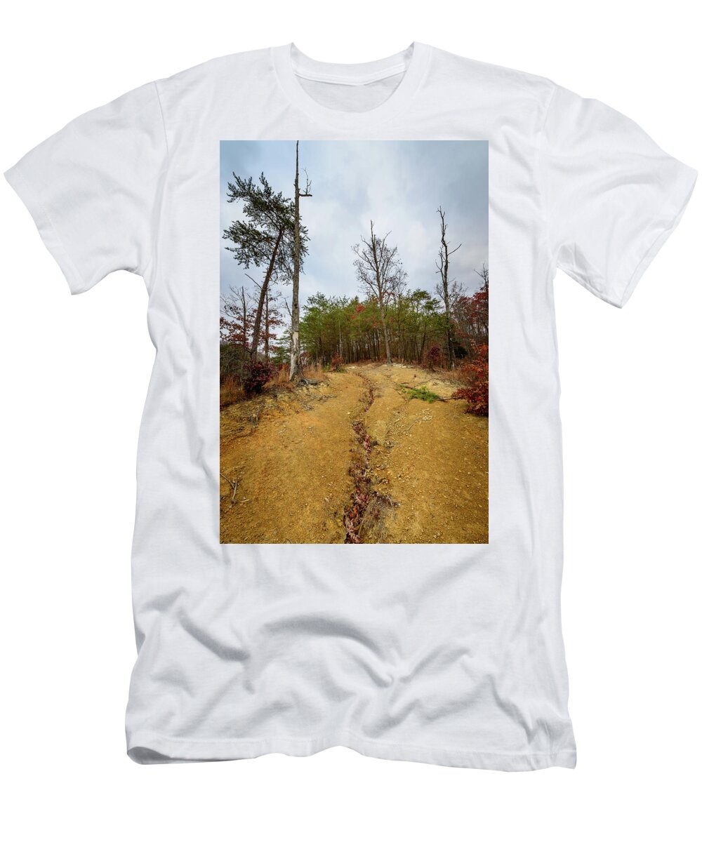 Fall T-Shirt featuring the photograph Follow Me Home by Michael Scott