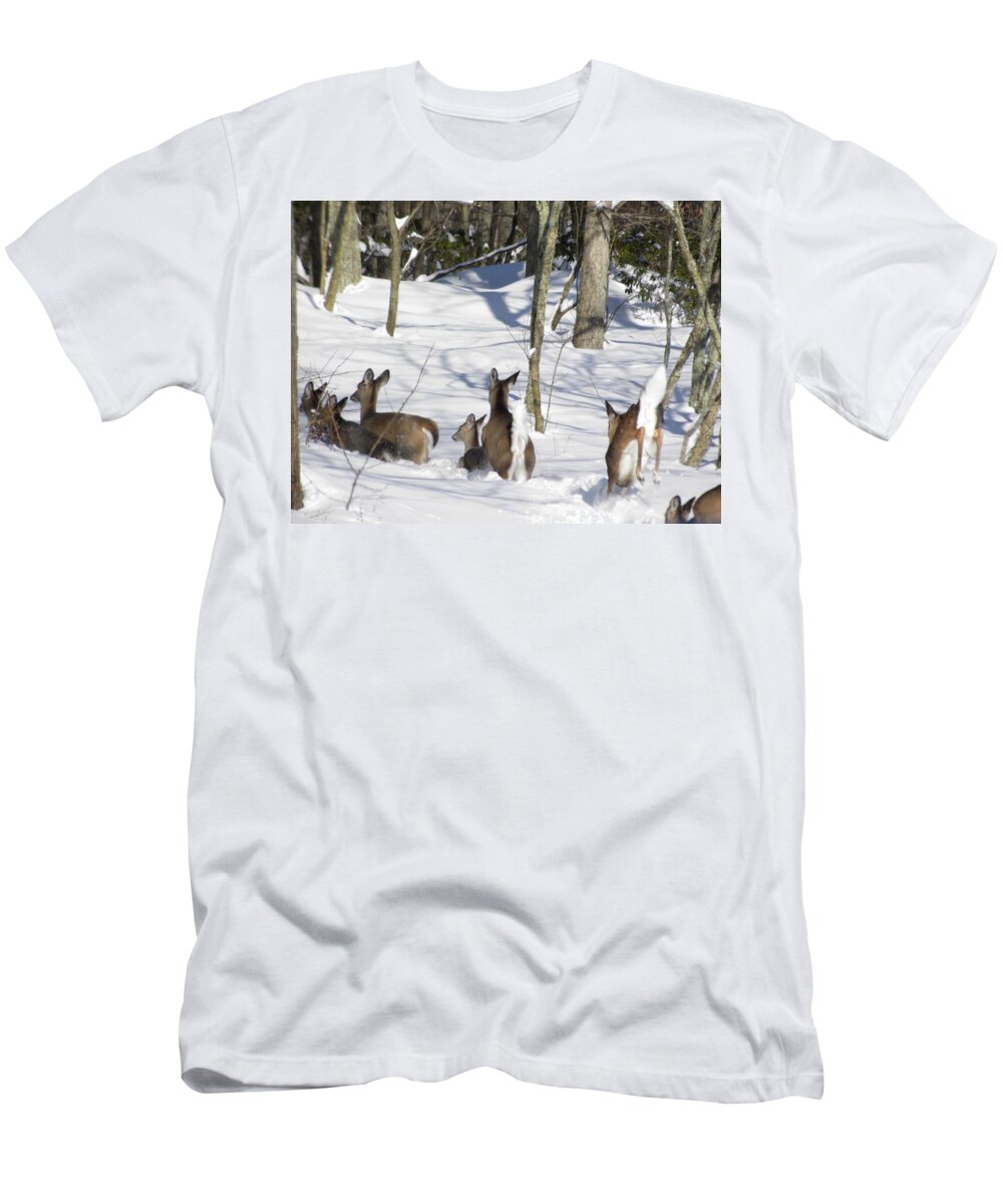 Deer T-Shirt featuring the photograph Follow the Leader by Jewels Hamrick