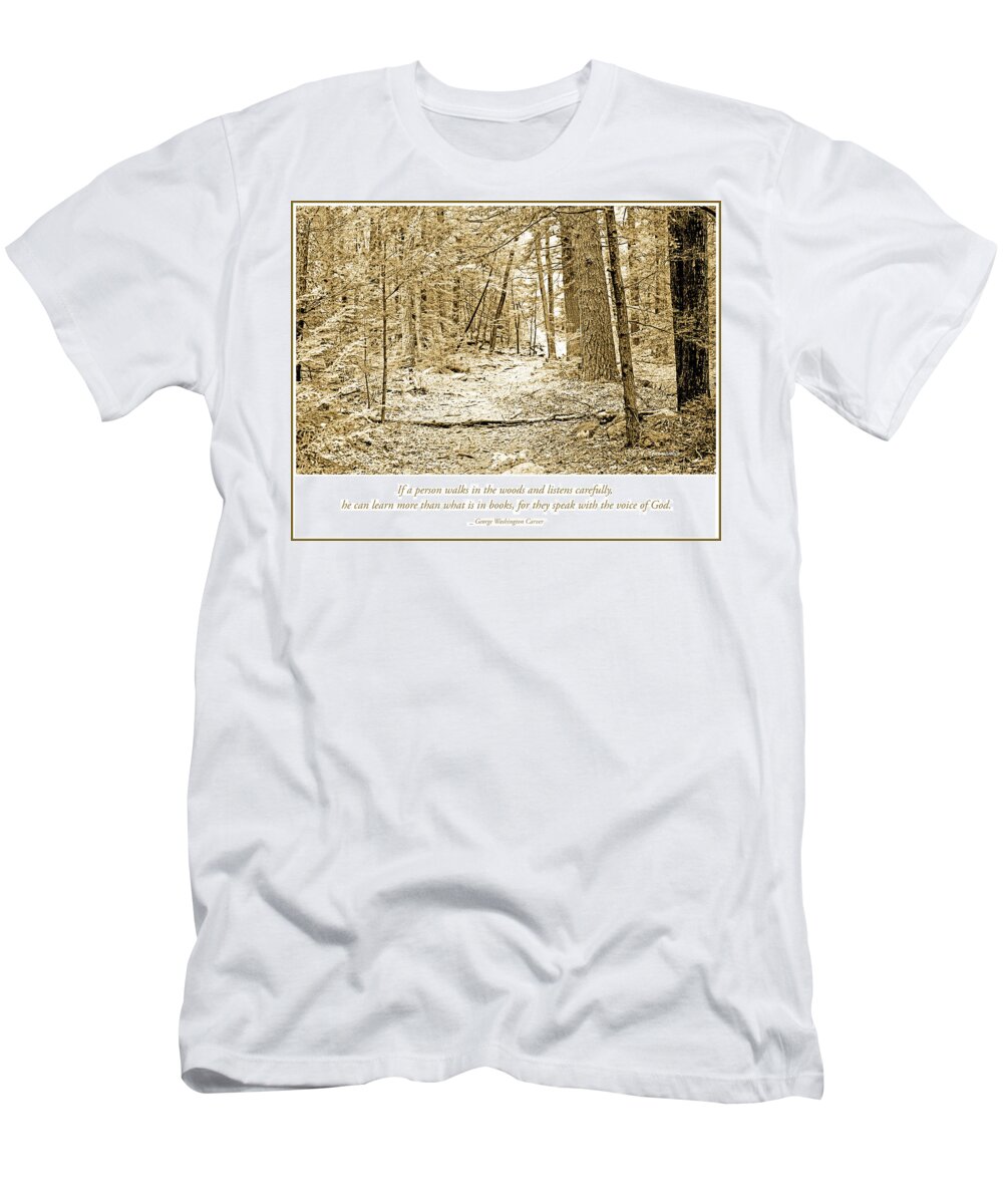 Forest T-Shirt featuring the photograph Forest Interior Path, Pocono Mountains by A Macarthur Gurmankin