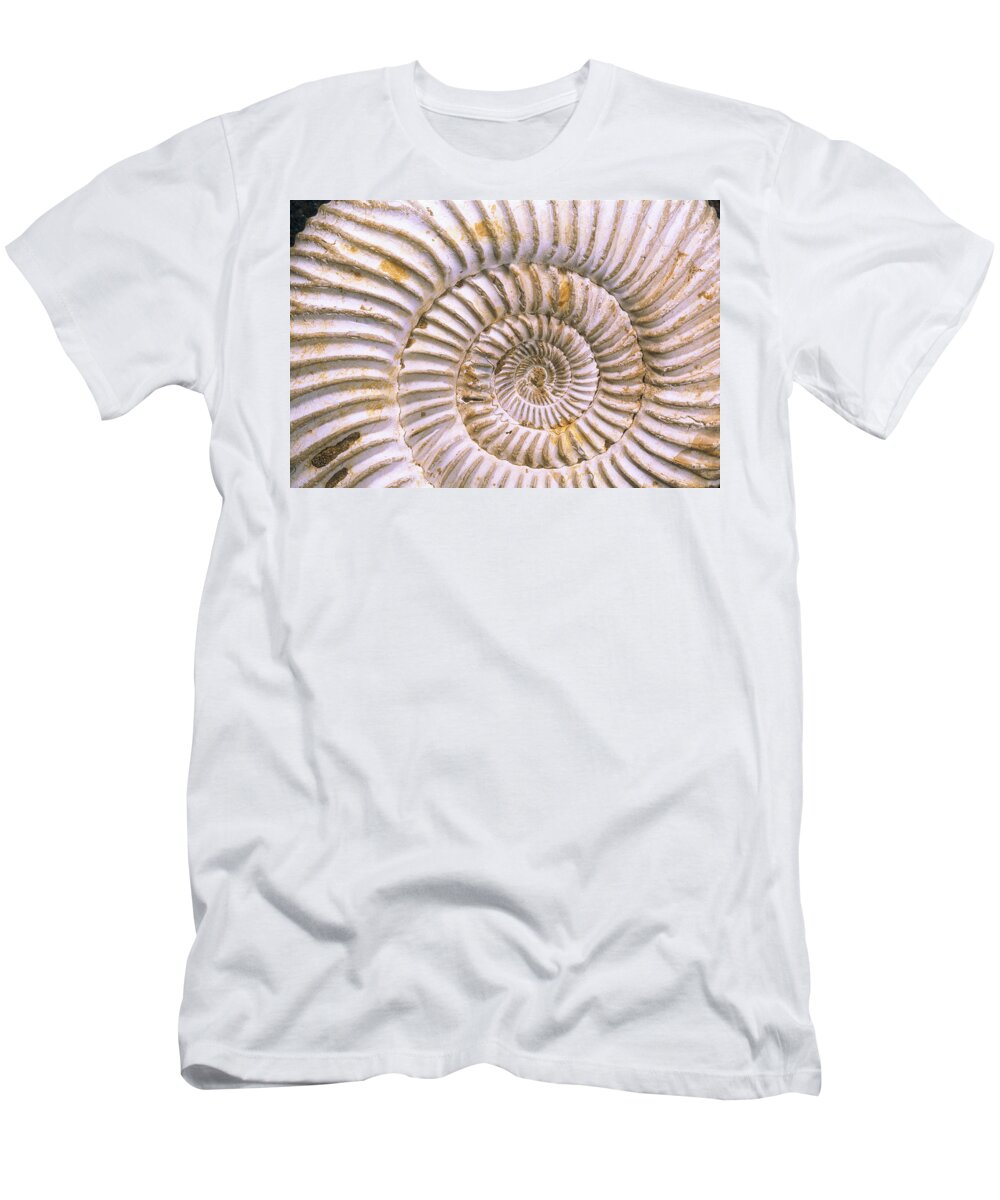 Mp T-Shirt featuring the photograph Fossil Of Ammonite, Madagascar by Pete Oxford