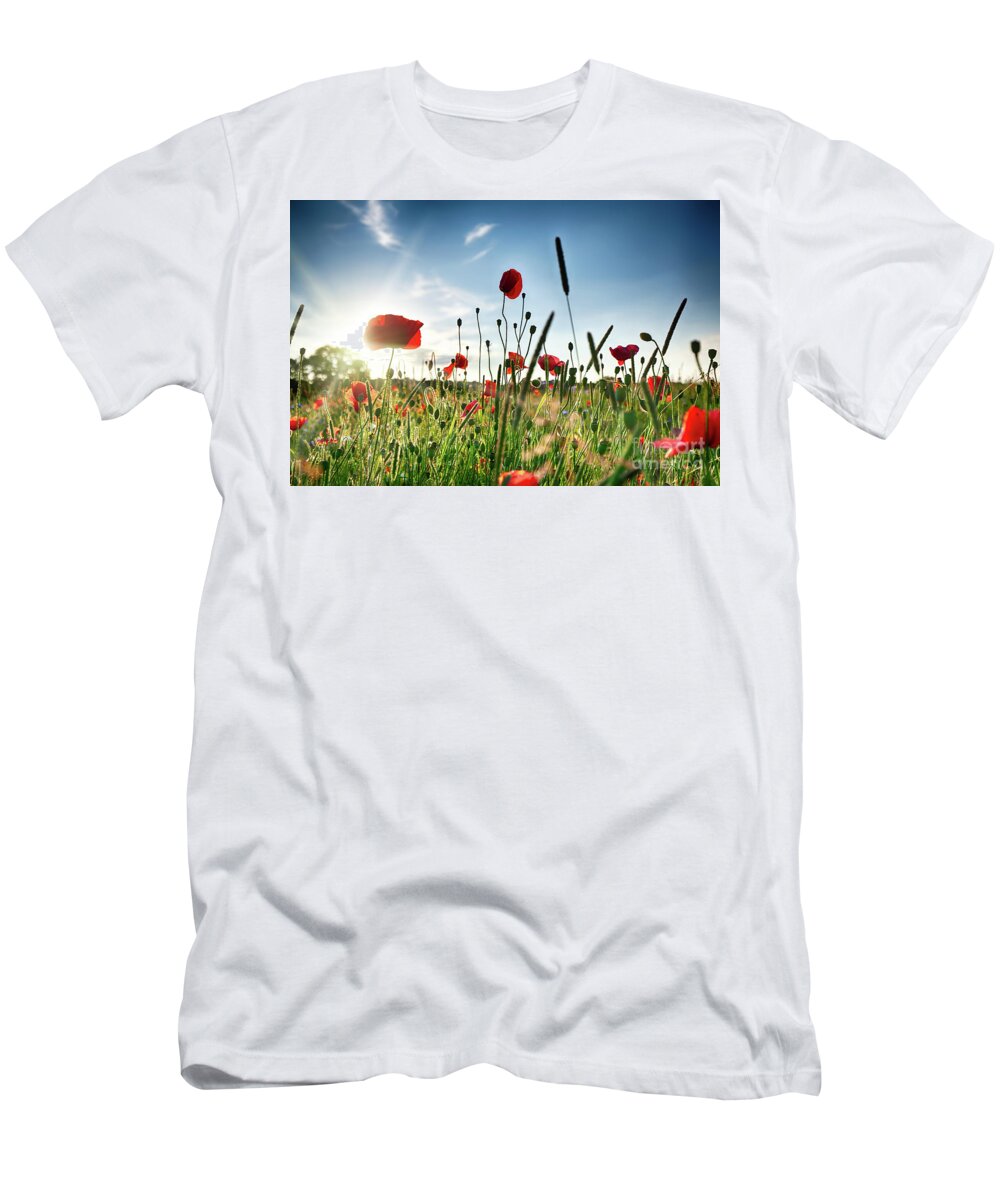 Field T-Shirt featuring the photograph Fresh poppy field in sunlight by Simon Bratt
