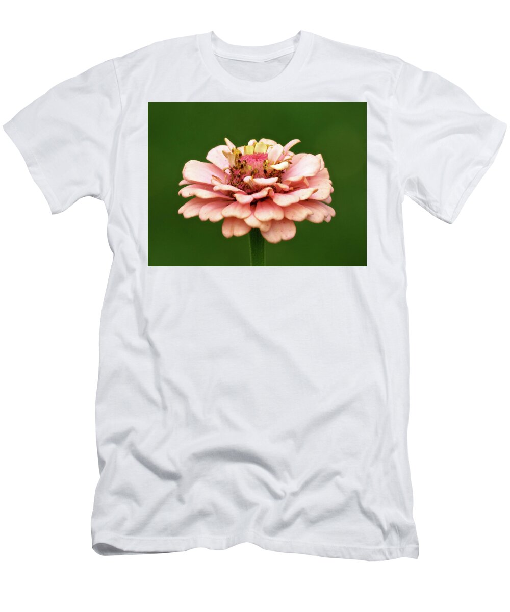 Flower T-Shirt featuring the photograph From Garden to Heart by Azthet Photography