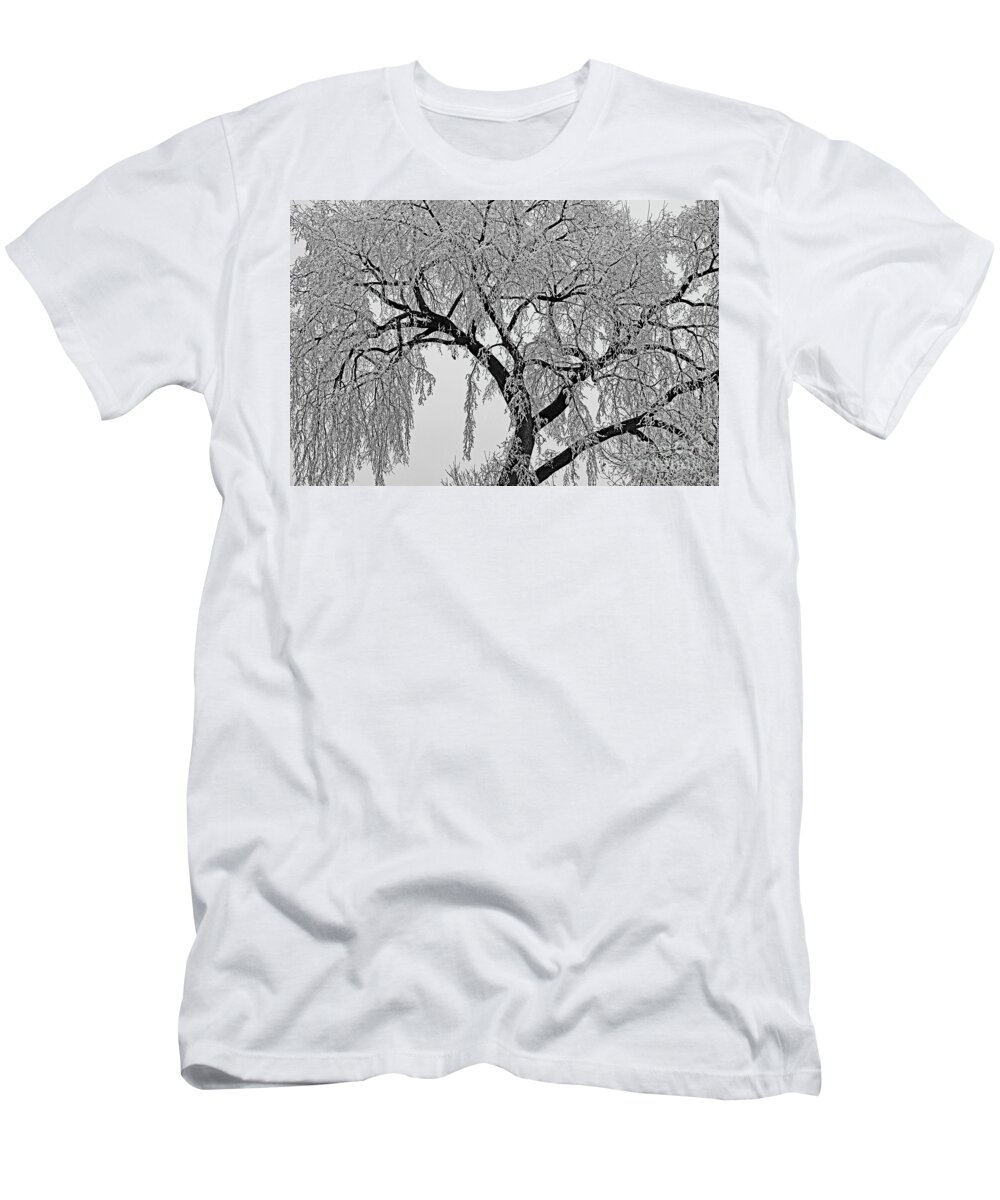  T-Shirt featuring the digital art Frosty Friday by Darcy Dietrich