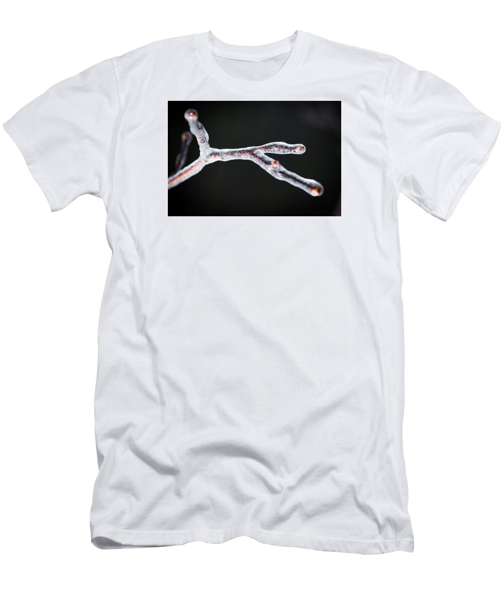 Branch T-Shirt featuring the photograph Frozen in Time by Robert McKay Jones