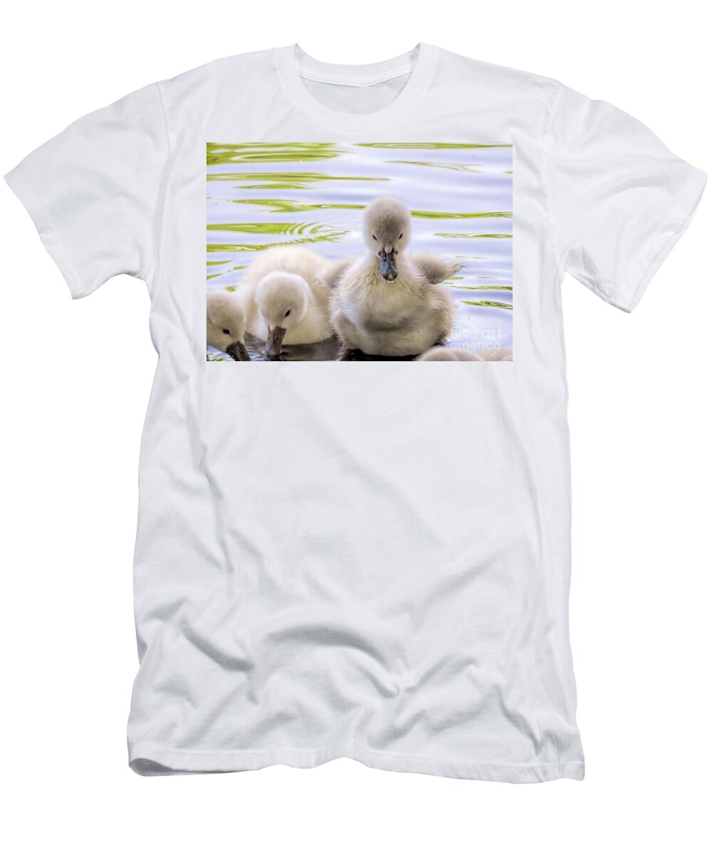 Fuzzy T-Shirt featuring the photograph Fuzzy by Janice Drew