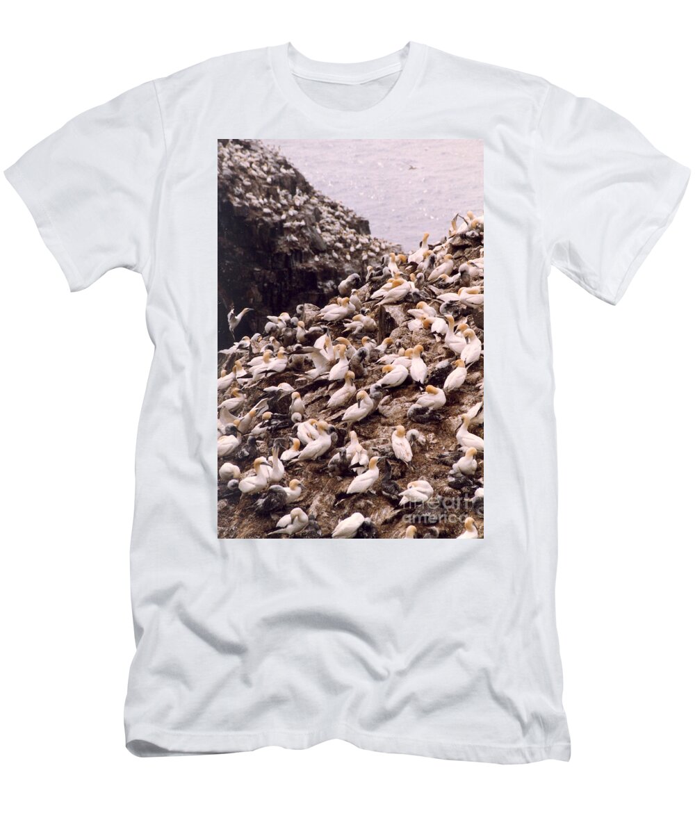 Gannet T-Shirt featuring the photograph Gannet Cliffs by Mary Mikawoz