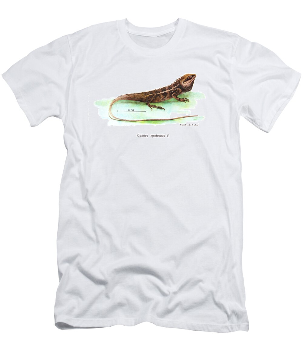 Lizard T-Shirt featuring the drawing Garden Lizard by Nguyen van Xuan