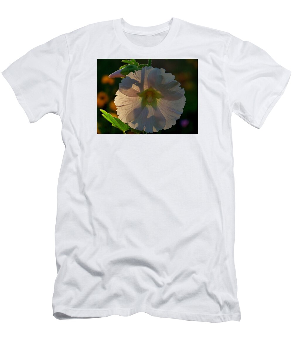 Hollyhocks At 5am T-Shirt featuring the photograph Garden Magic by Marika Evanson