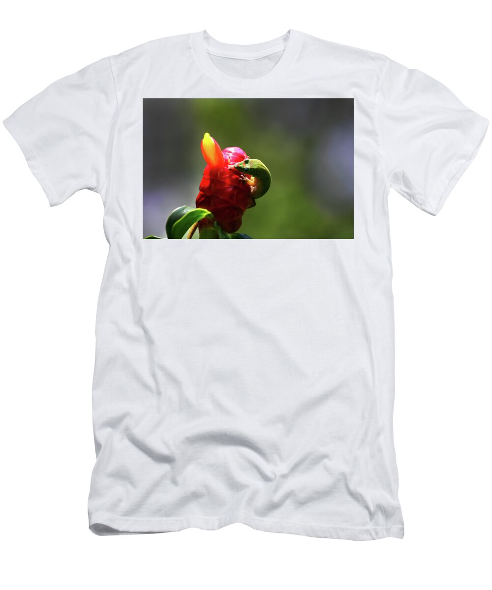 Hawaii T-Shirt featuring the photograph Gecko #2 by Anthony Jones