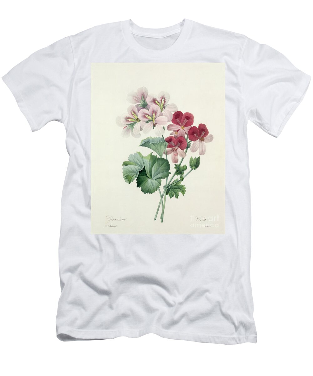 Geranium T-Shirt featuring the drawing Geranium Variety by Redoute by Pierre Joseph Redoute