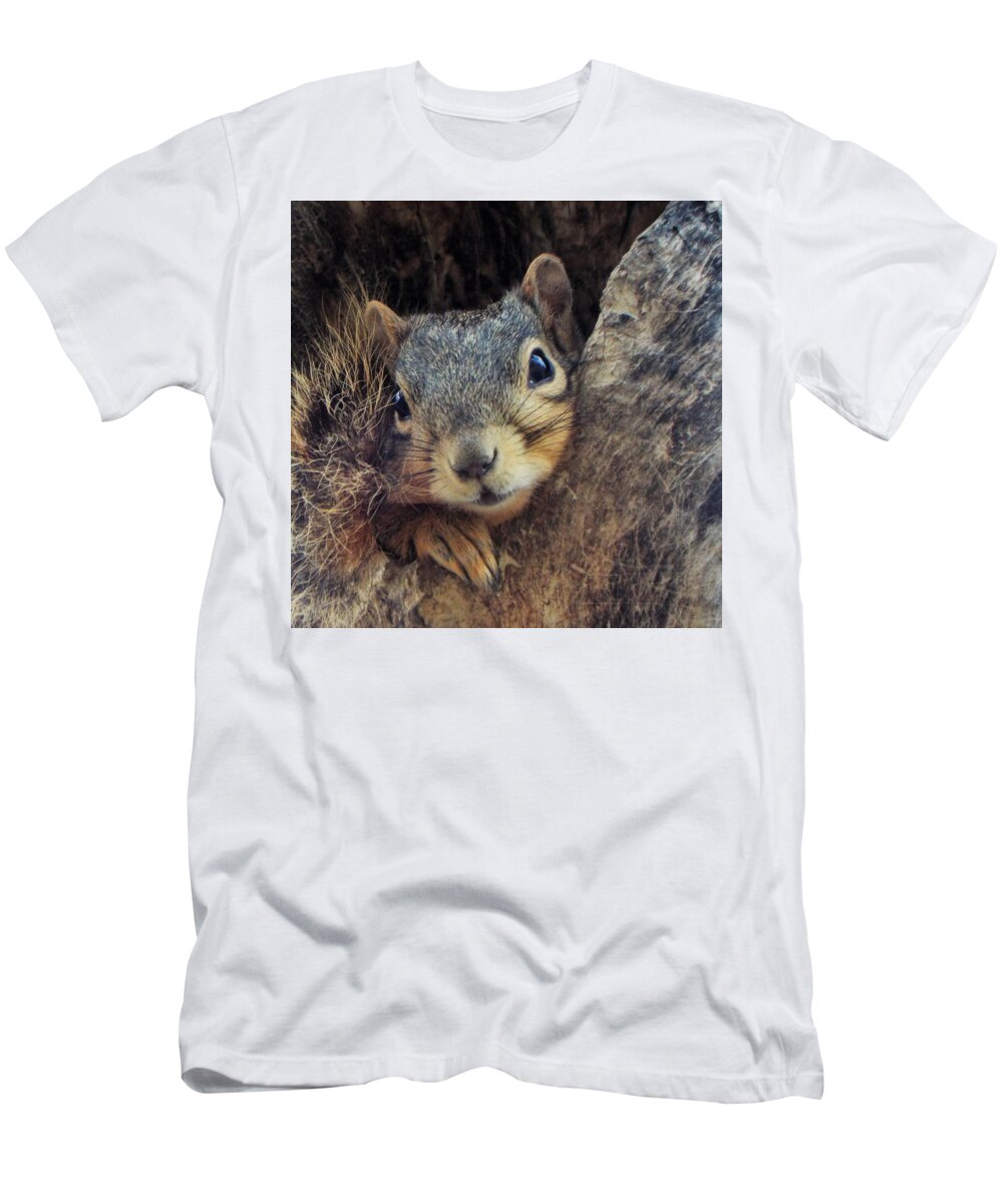 Squirrel T-Shirt featuring the photograph Give me two minutes by Michael Dillon