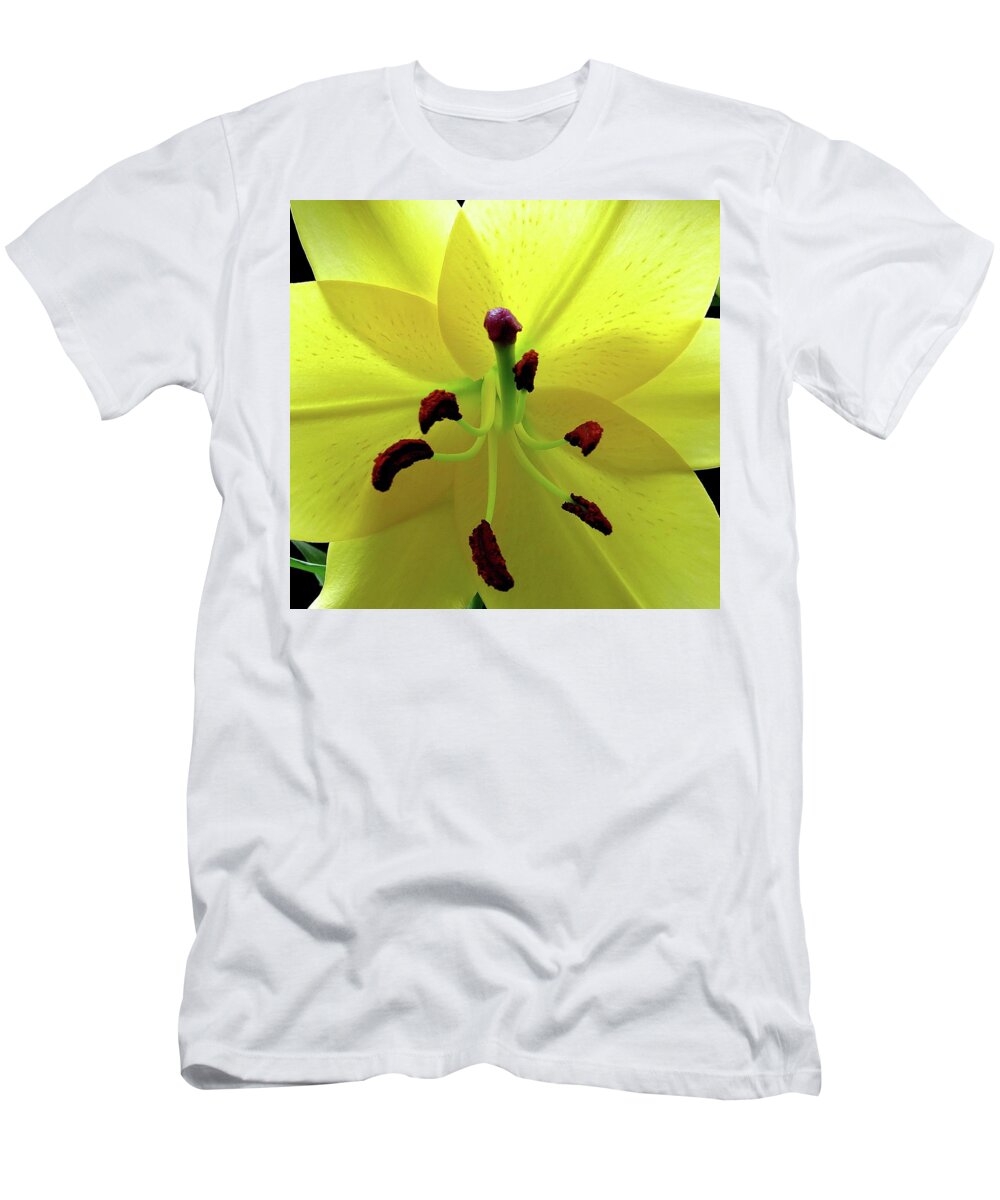 Flower T-Shirt featuring the photograph Glowing Lily by Linda Stern