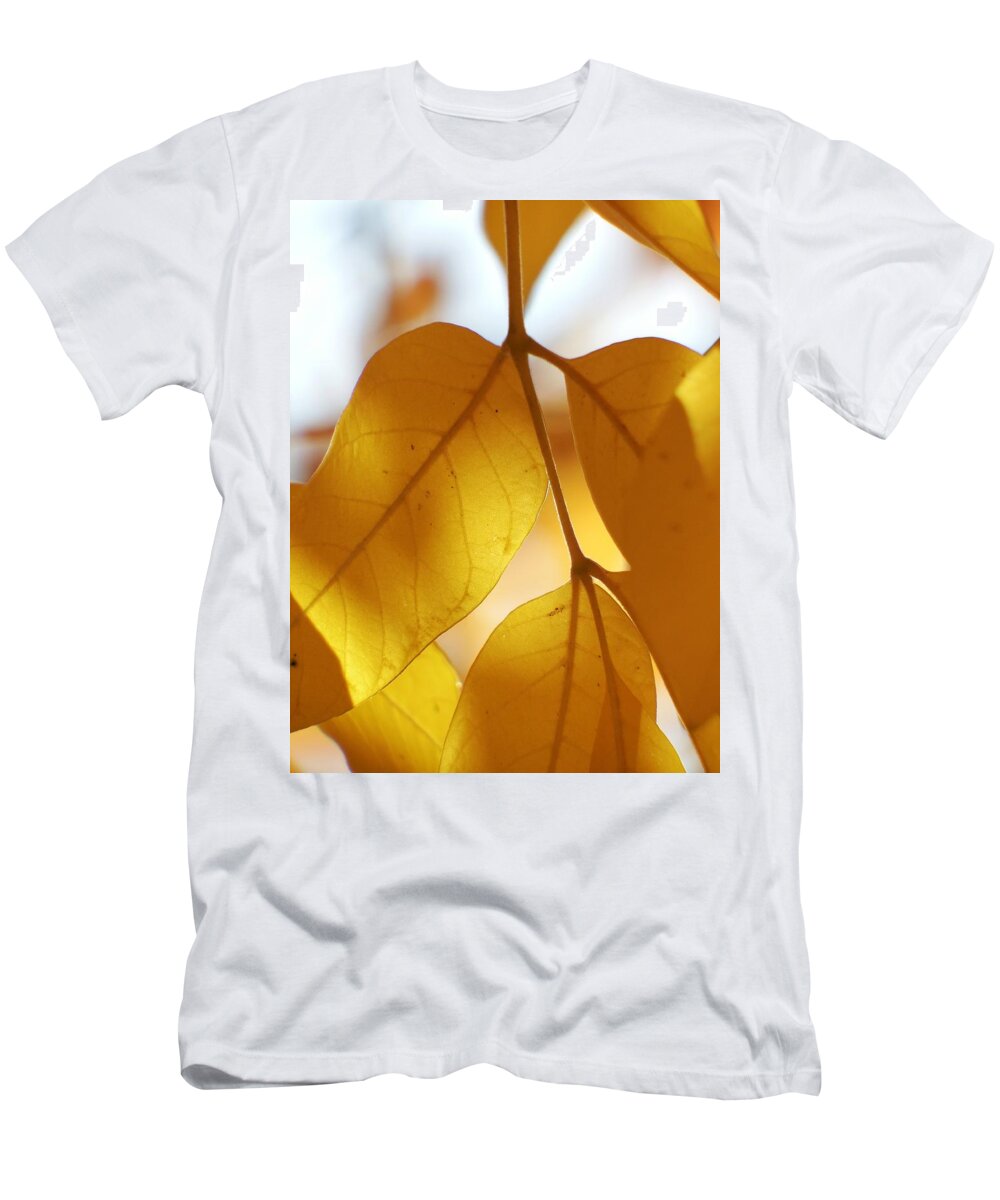Scoobydrew81 Andrew Rhine Close-up Closeup Nature Botany Botanical Floral Flora Art Color Soft Simple Clean Crisp Fall Season Autumn Yellow Tree Branch Leaves Leaf Sun Light T-Shirt featuring the photograph Golden Leaves 1 by Andrew Rhine
