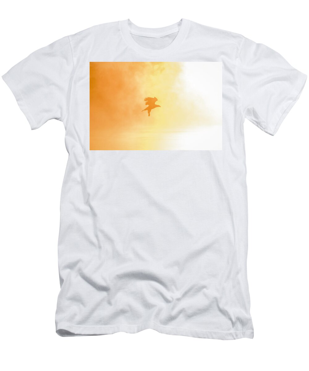 American Bald Eagle T-Shirt featuring the photograph Golden Sunrise and Eagle 2016-2 by Thomas Young