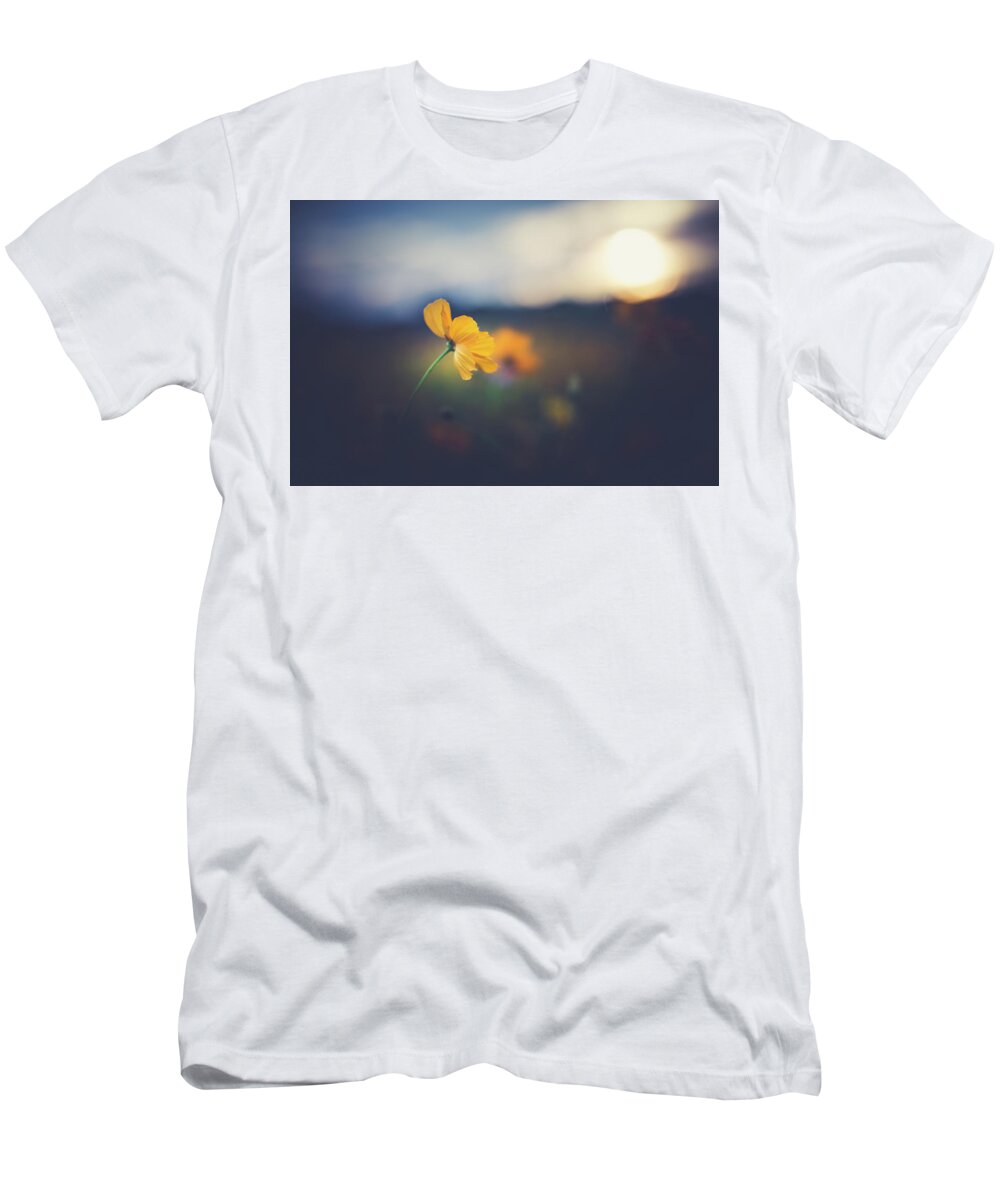 Sun T-Shirt featuring the photograph Goodnight Sun by Shane Holsclaw