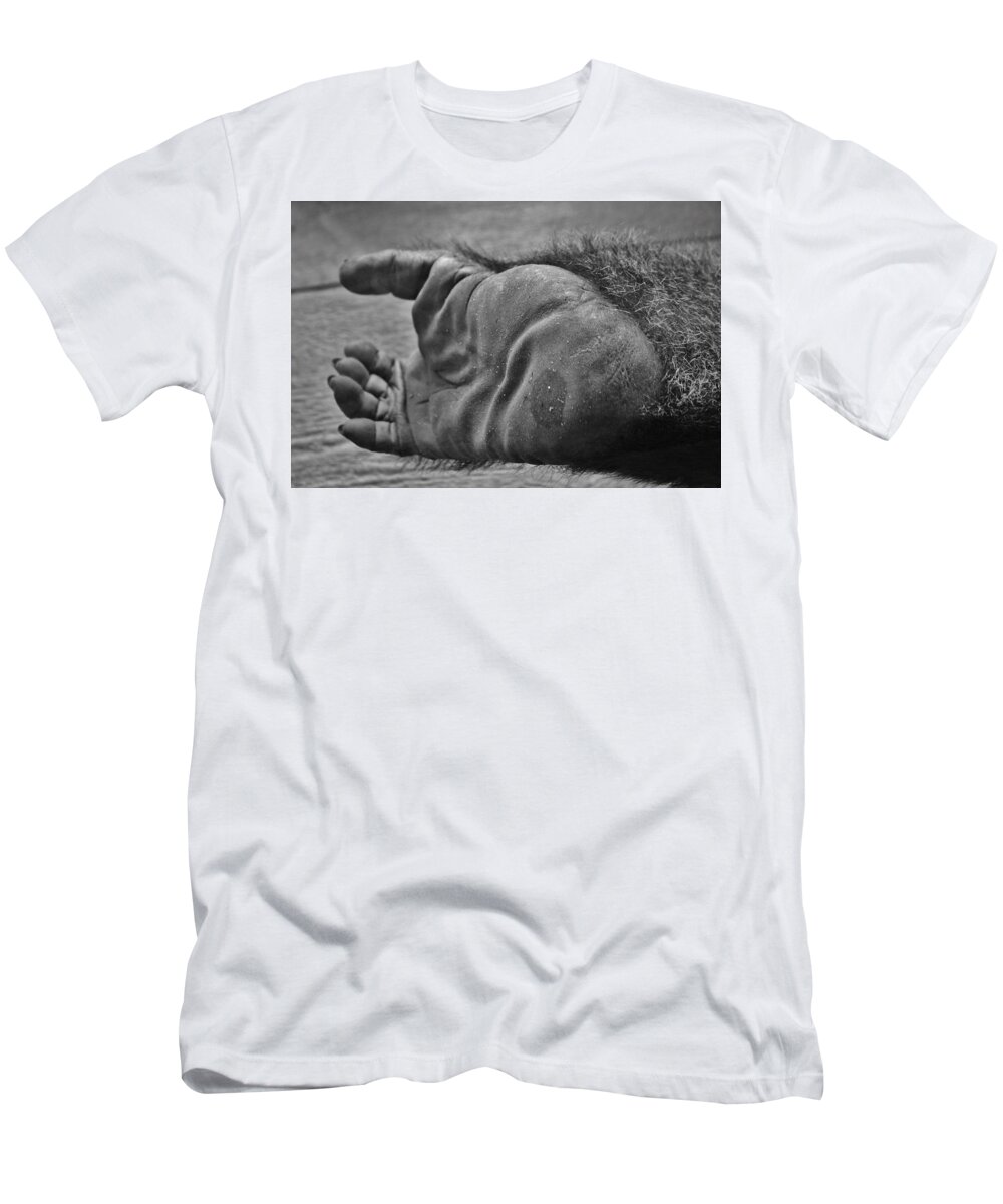 Africa T-Shirt featuring the photograph Gorilla Foot by Cynthia Guinn