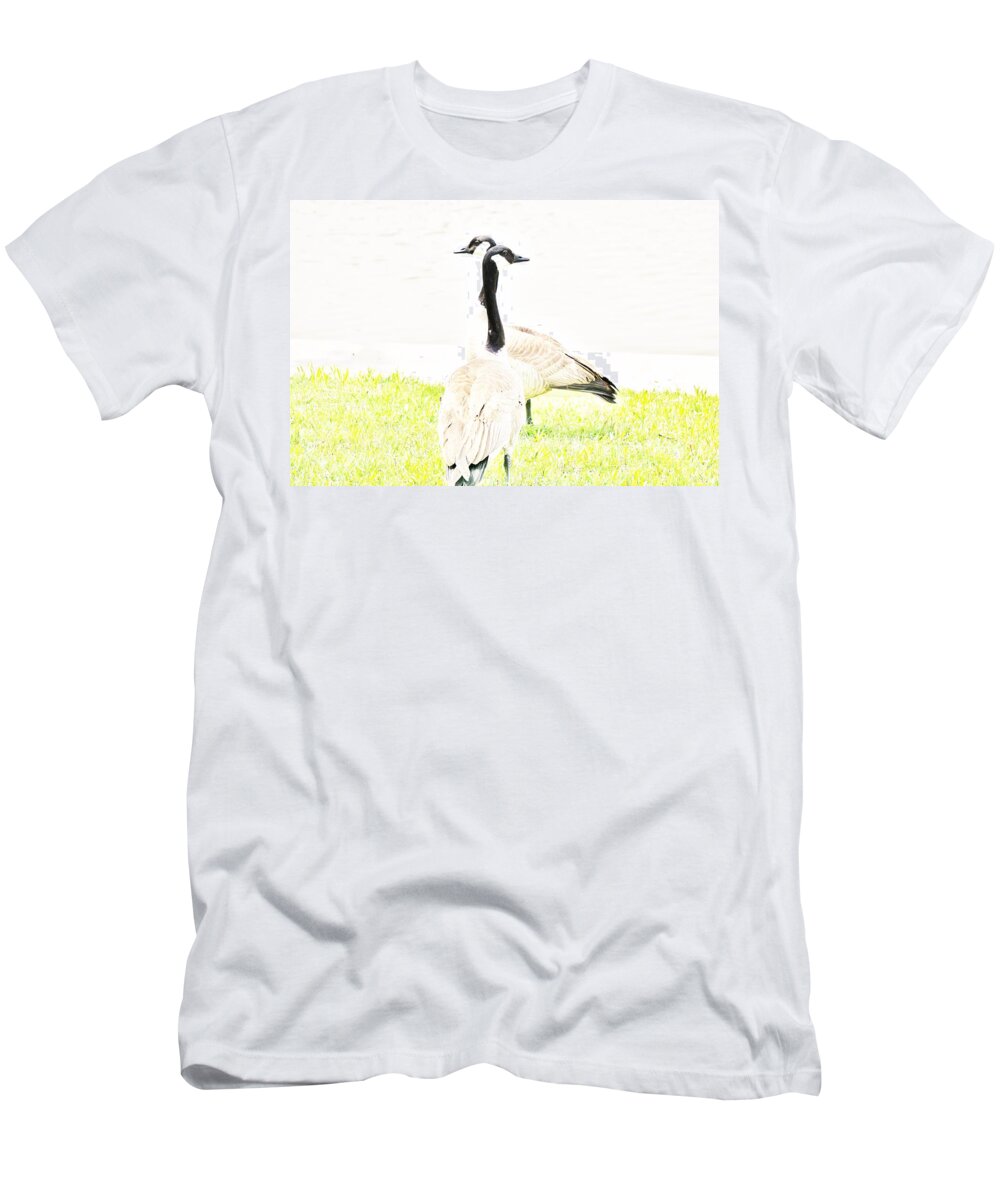 Geese T-Shirt featuring the photograph Got you covered by Merle Grenz