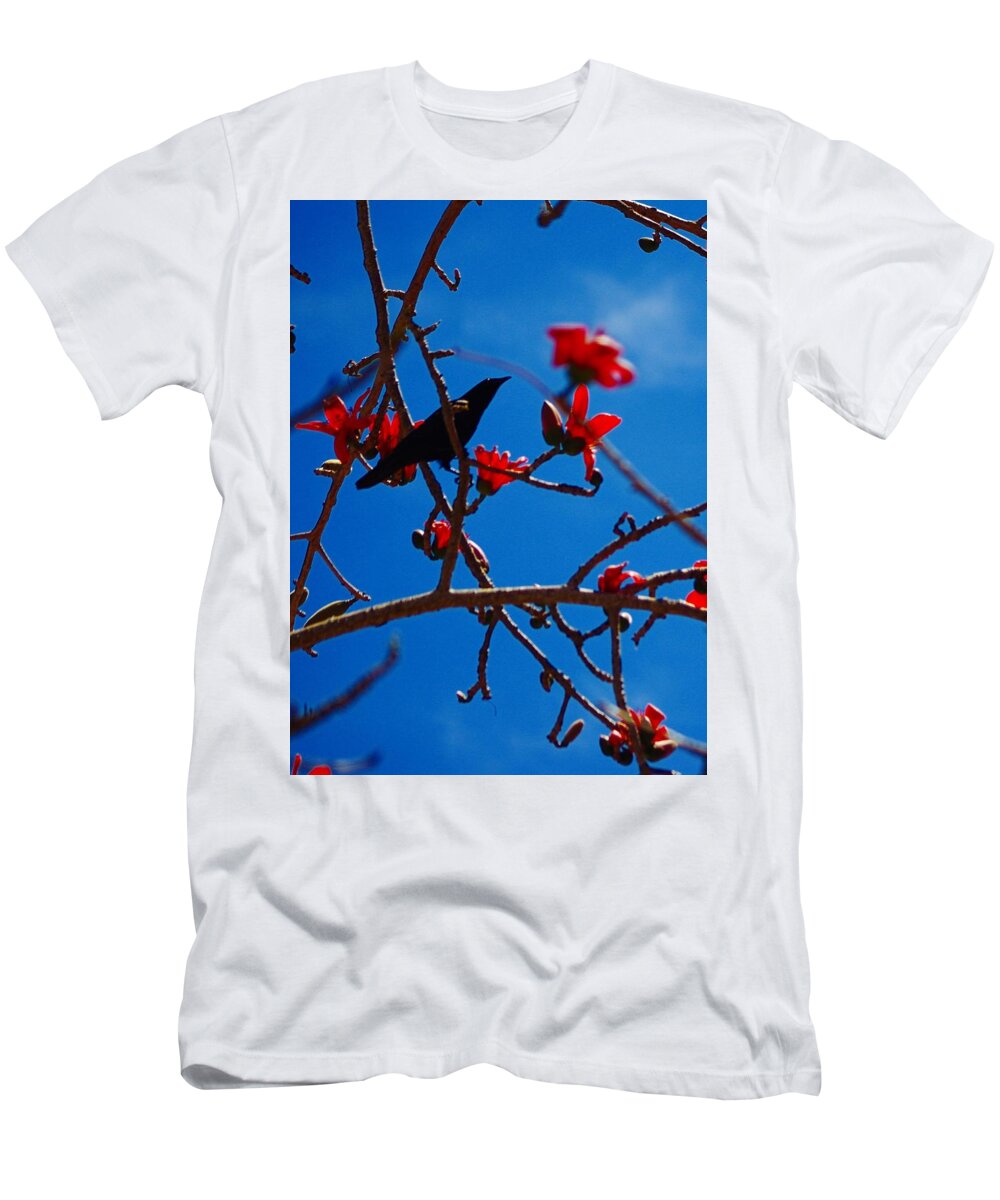 Black Bird T-Shirt featuring the photograph Grackle by Stoney Lawrentz