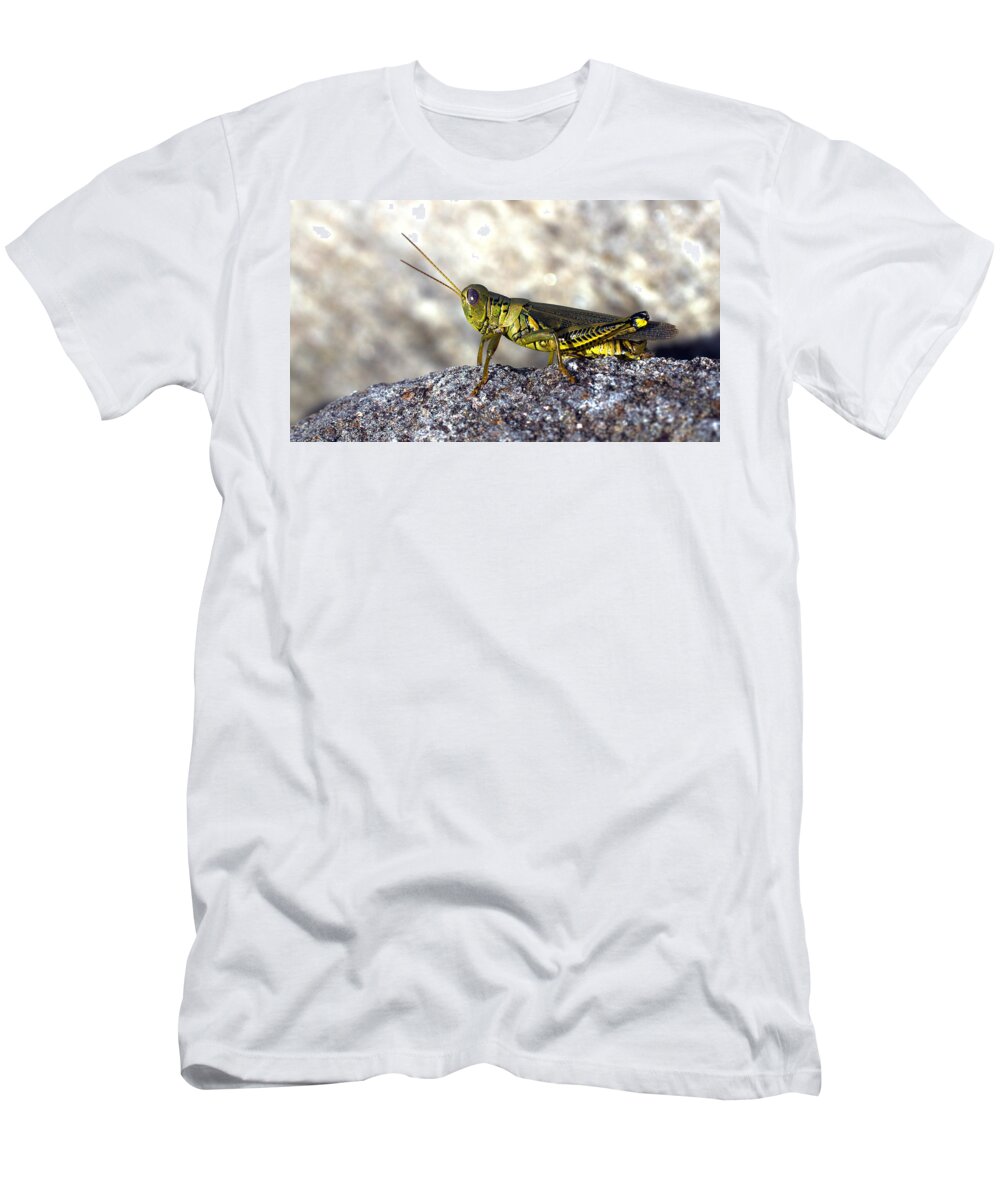 Columbia Md T-Shirt featuring the photograph Grasshopper by Joseph Skompski