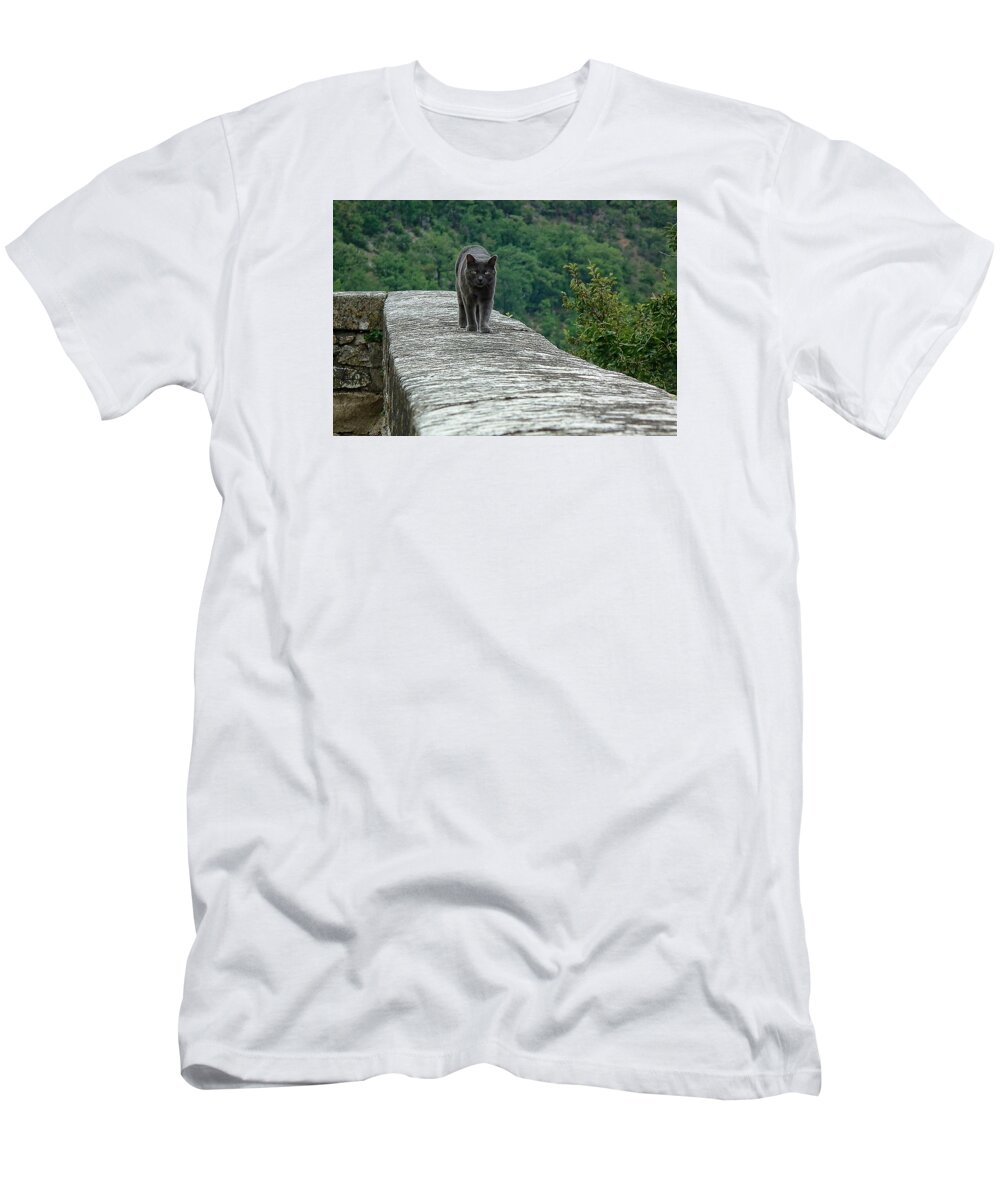 Gray Cat T-Shirt featuring the photograph Gray Cat Prowling by Gary Karlsen