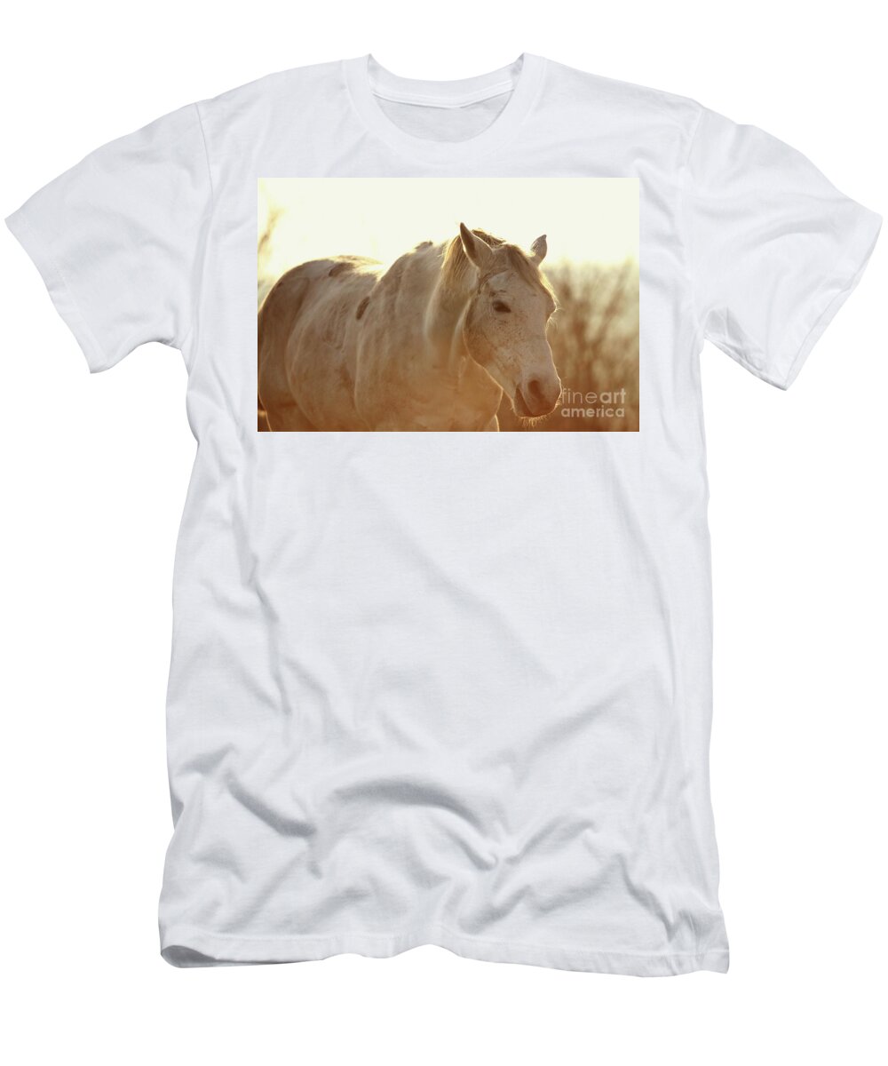 Horse T-Shirt featuring the photograph Grazing Horse by Dimitar Hristov