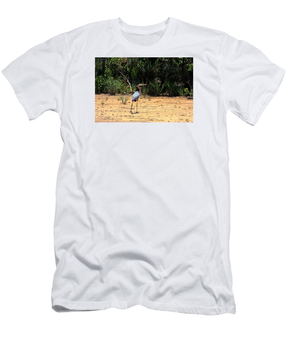 Nature T-Shirt featuring the photograph Great Blue Heron on Beach by Sheila Brown