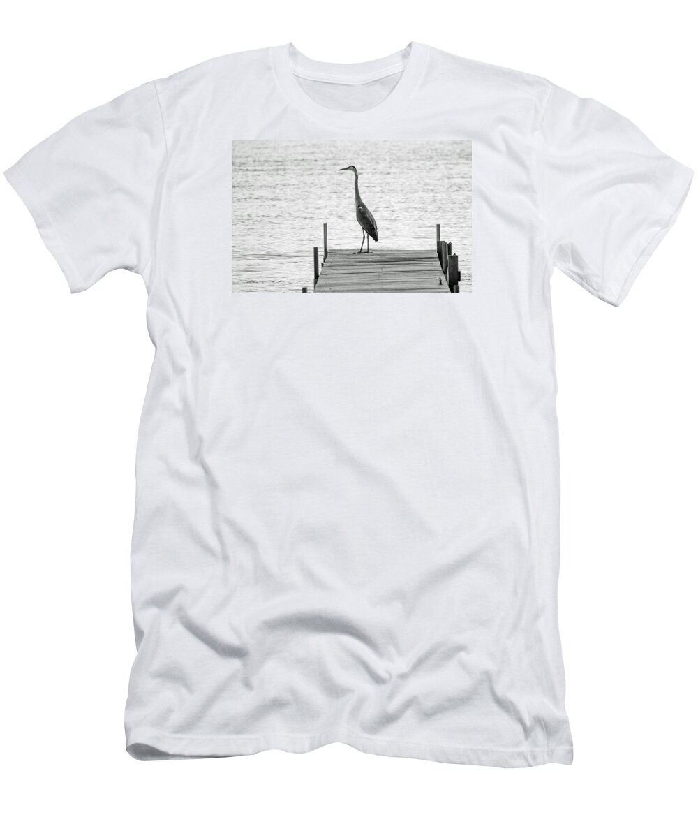 Great Blue Heron T-Shirt featuring the photograph Great Blue Heron on Dock - Keuka Lake - BW by Photographic Arts And Design Studio