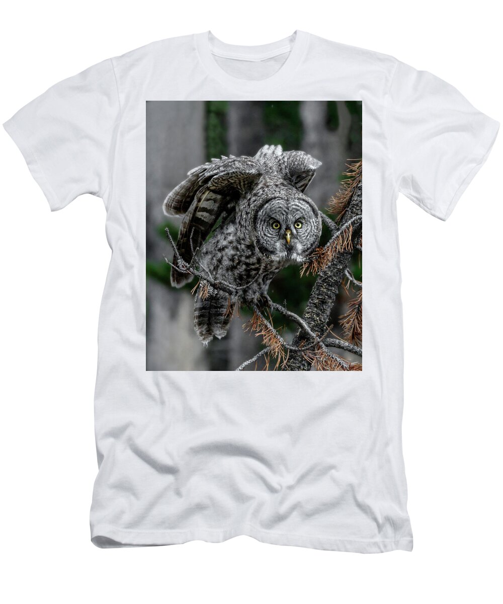 Great Grey Stare Down T-Shirt featuring the photograph Great Grey Stare Down by Wes and Dotty Weber
