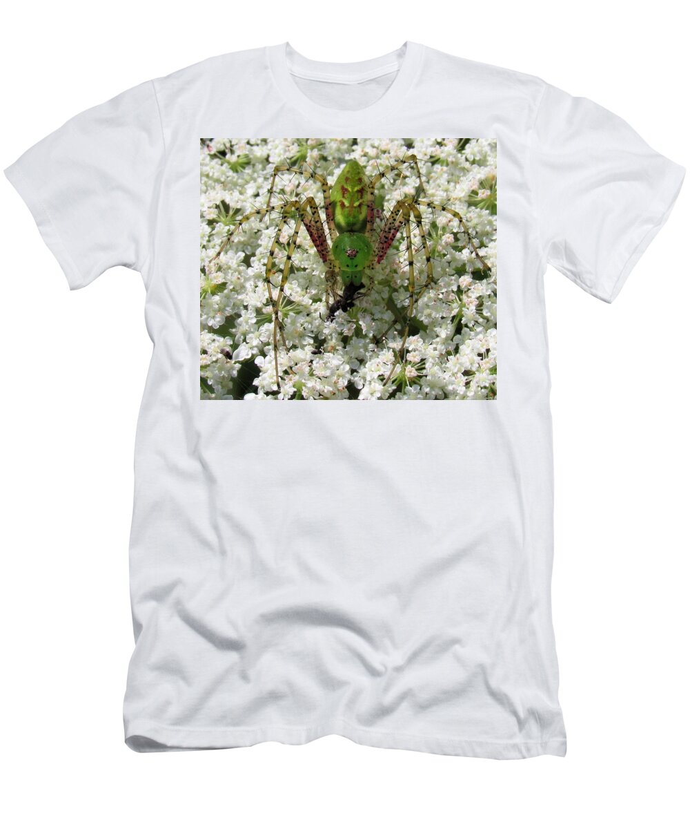 Green Lynx Spider T-Shirt featuring the photograph Green Lynx by Joshua Bales
