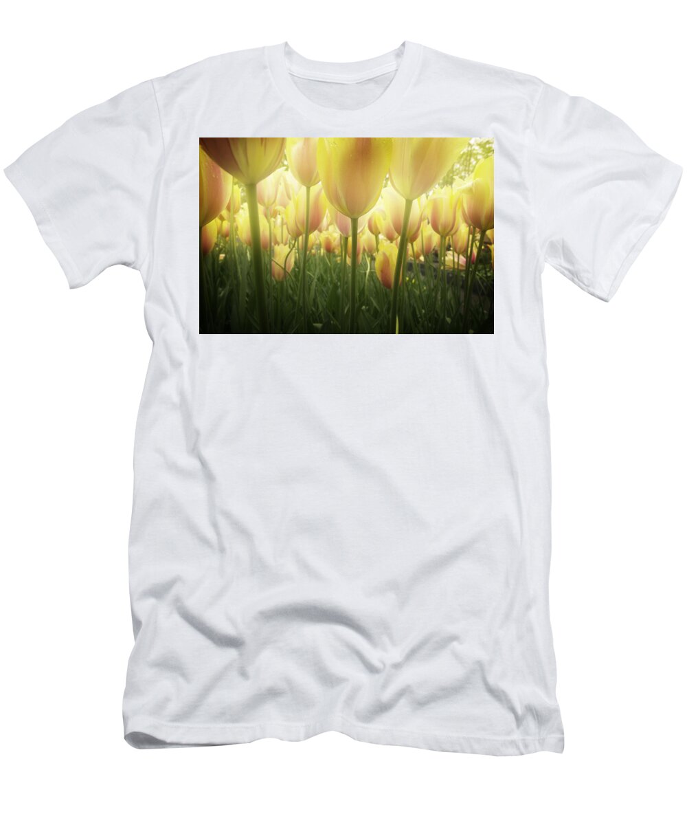 Tulip T-Shirt featuring the photograph Growing Tulips by Anastasy Yarmolovich