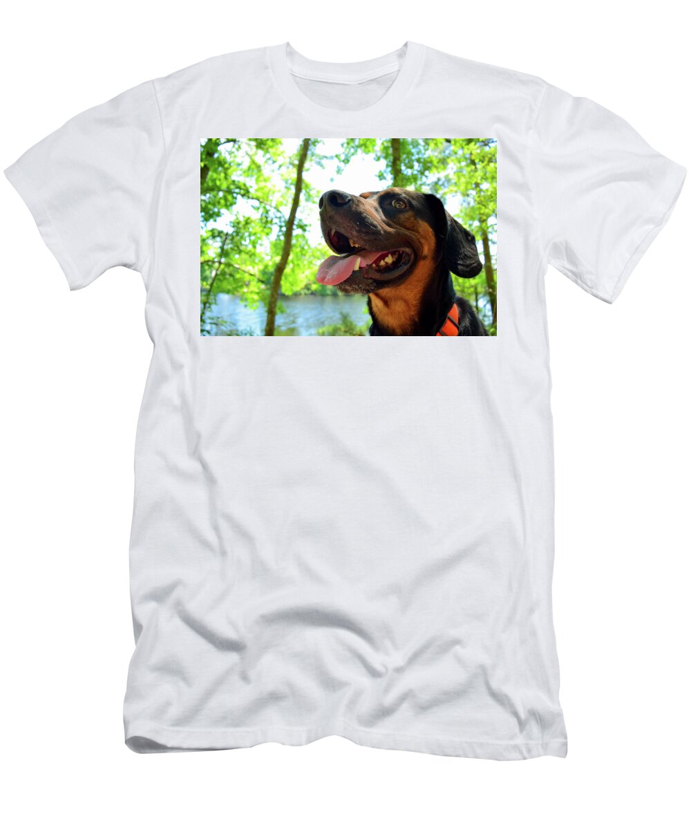Hike T-Shirt featuring the photograph Gus on a Hike by Nicole Lloyd