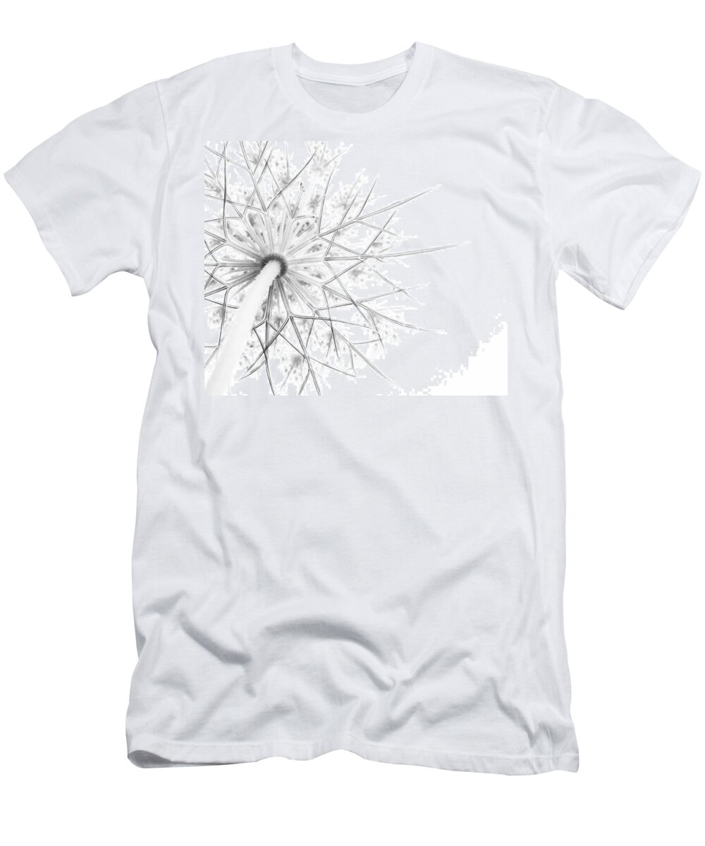 Queen Anne's Lace T-Shirt featuring the photograph Summer Snow by Holly Ross