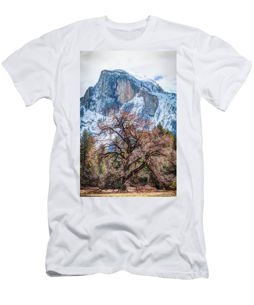 2017conniecooper-edwards T-Shirt featuring the photograph Half Dome Meadow Tree Winter by Connie Cooper-Edwards