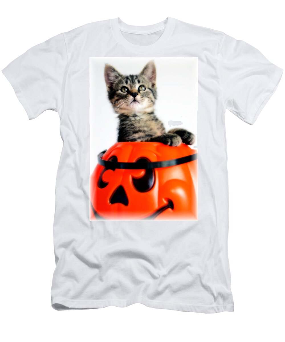 Kitten T-Shirt featuring the photograph Halloween Kitten by Jarrod Erbe