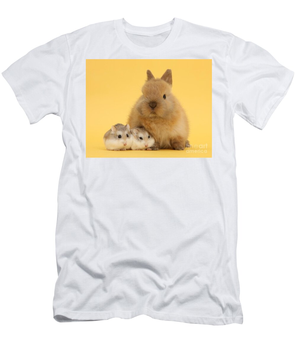 Roborovski Hamsters T-Shirt featuring the photograph Hammies and Easter Bunny by Warren Photographic