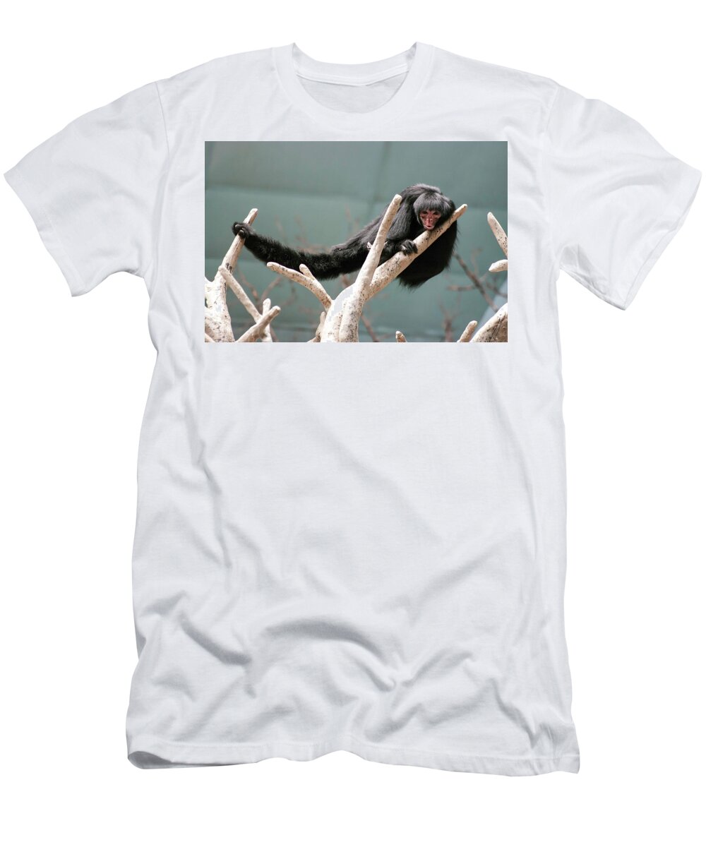 Photography T-Shirt featuring the photograph Hanging Loose by Kathleen Messmer