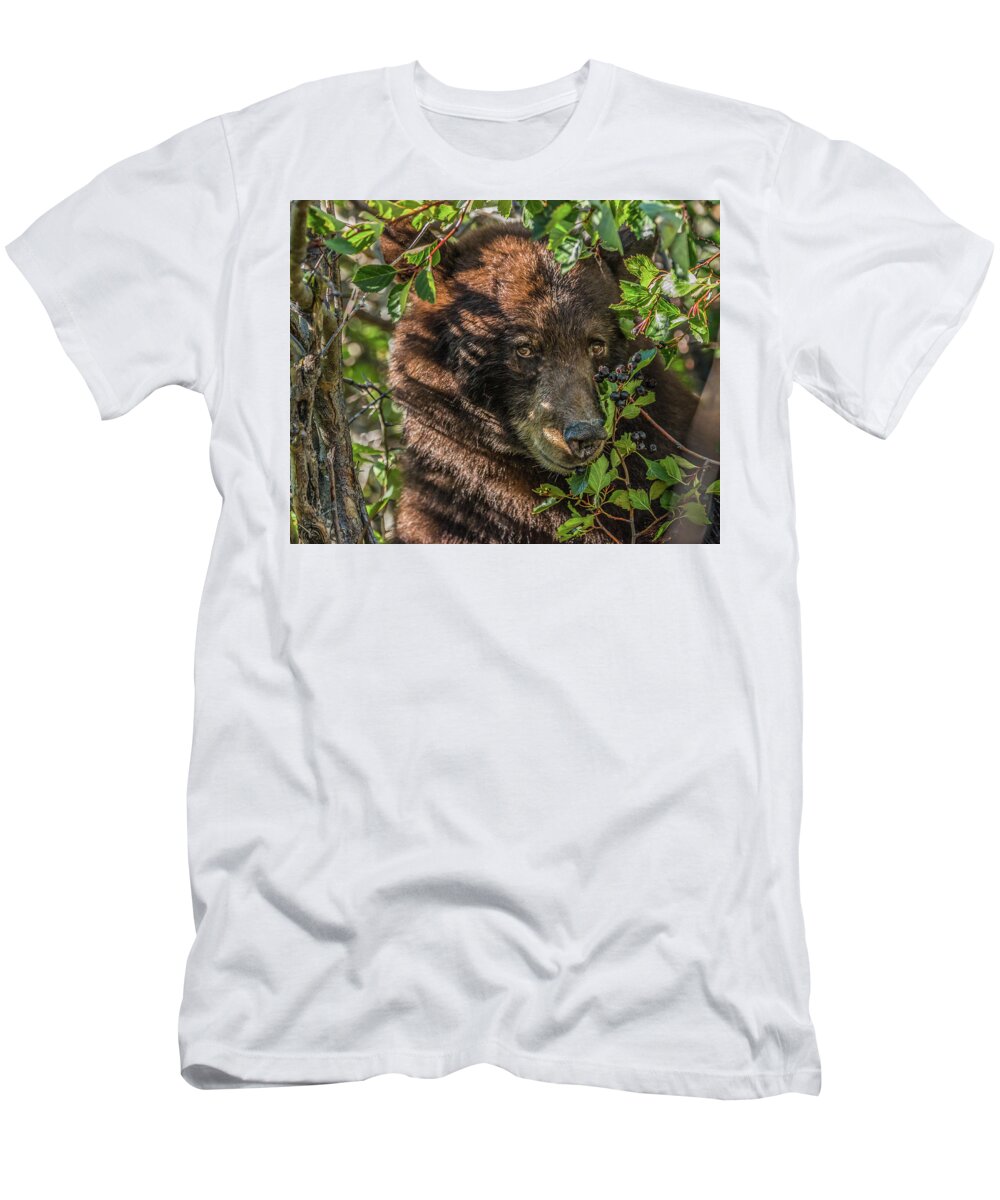 Black Bear T-Shirt featuring the photograph He Was Hiding In A Tree by Yeates Photography