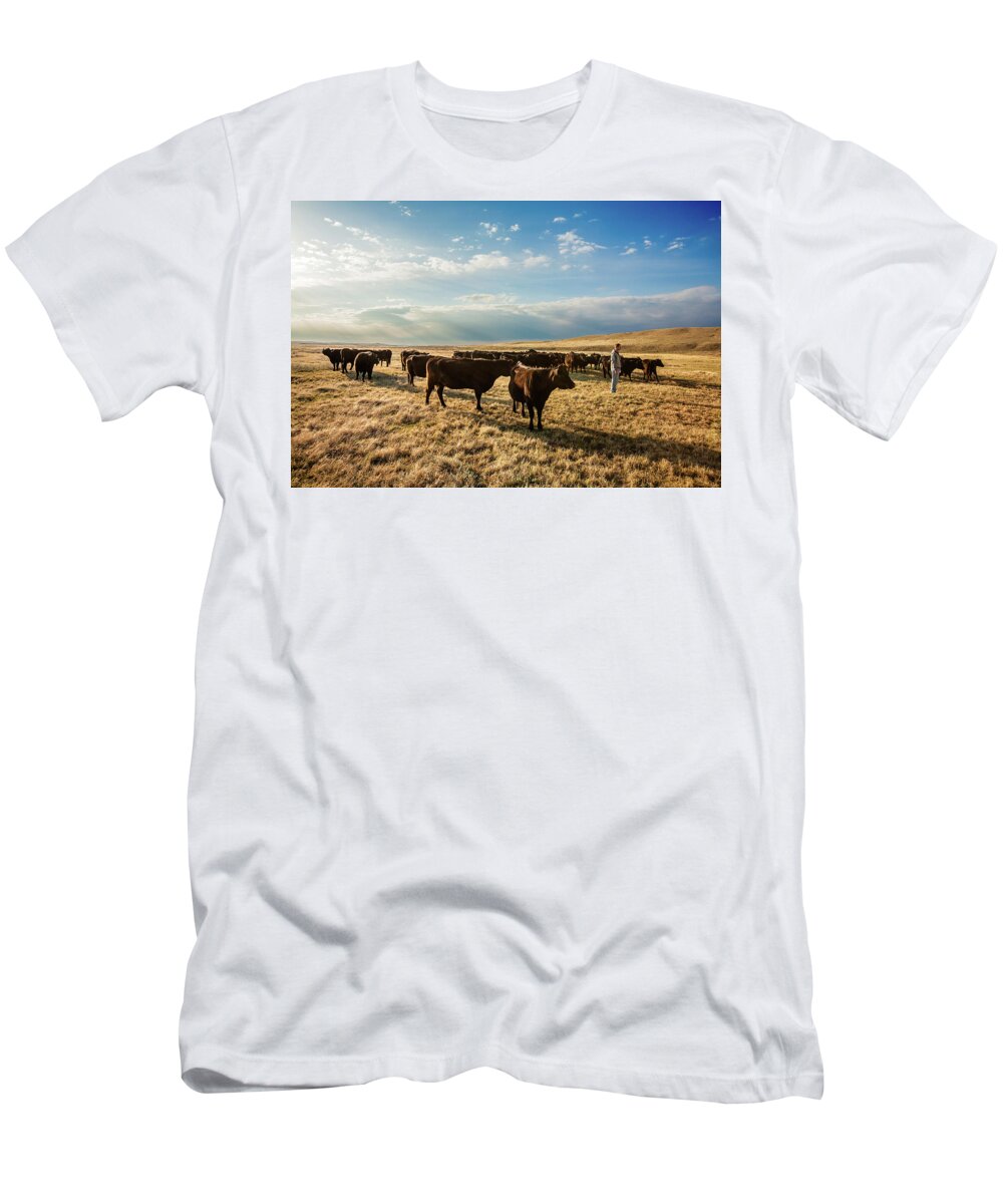 Black Angus T-Shirt featuring the photograph Head of the Herd by Todd Klassy