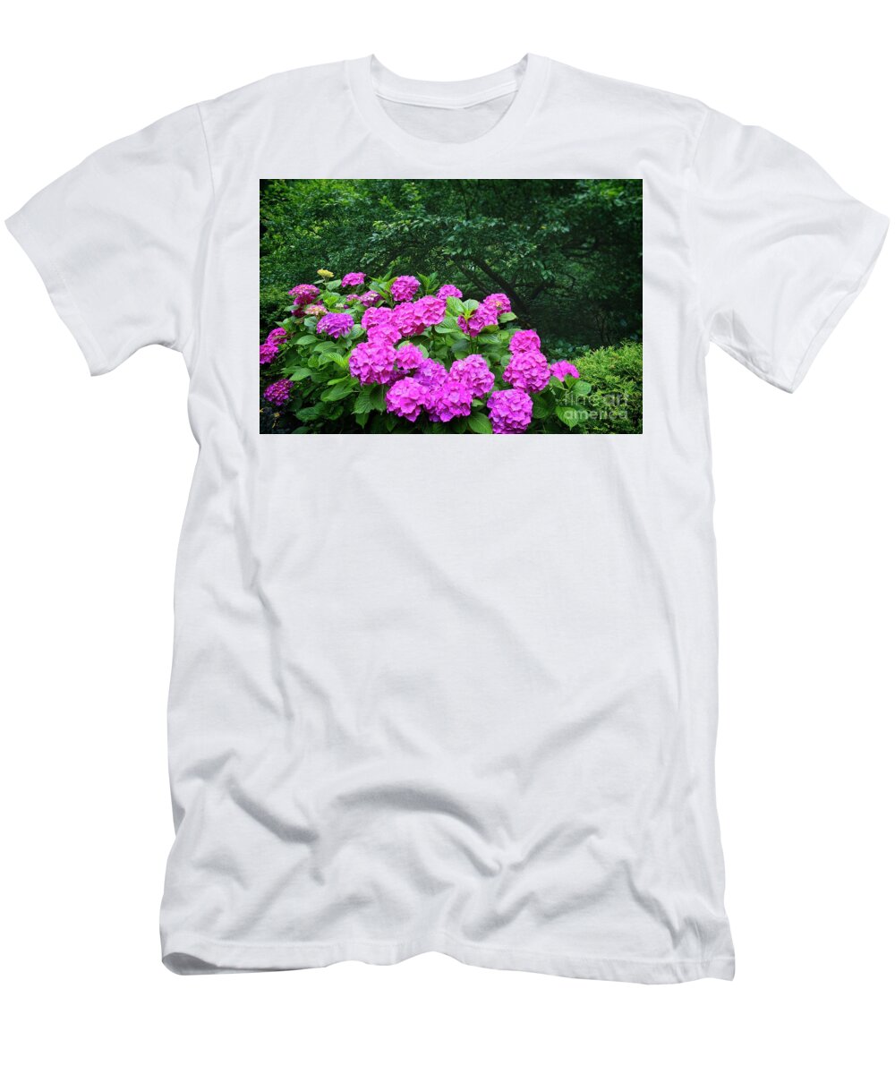 Hydrangea T-Shirt featuring the photograph Heartfelt Love by Lucinda Walter